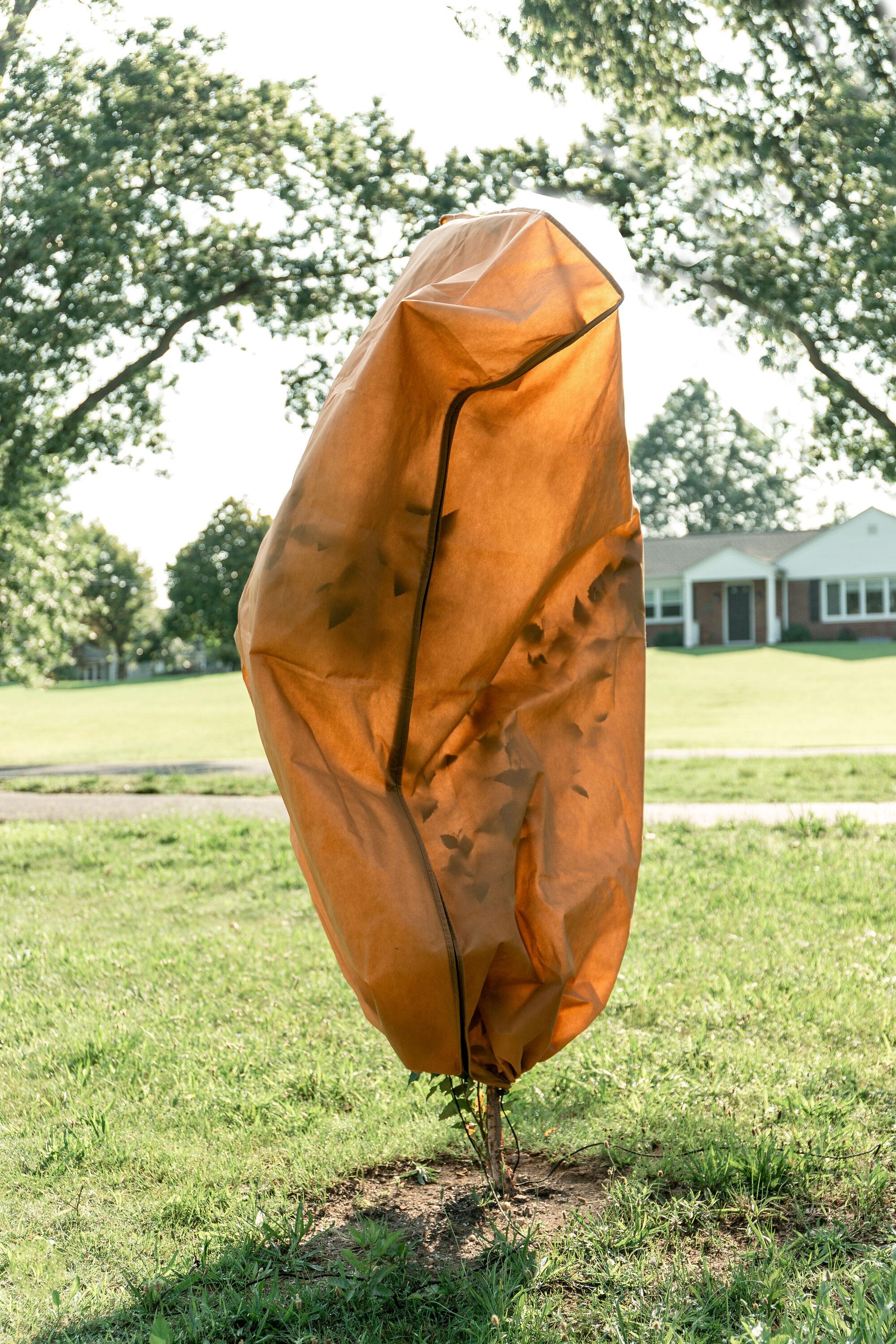 Brown Polypropylene Frost Protection Plant Covers with Drawstring and Zipper, 48" x 72"