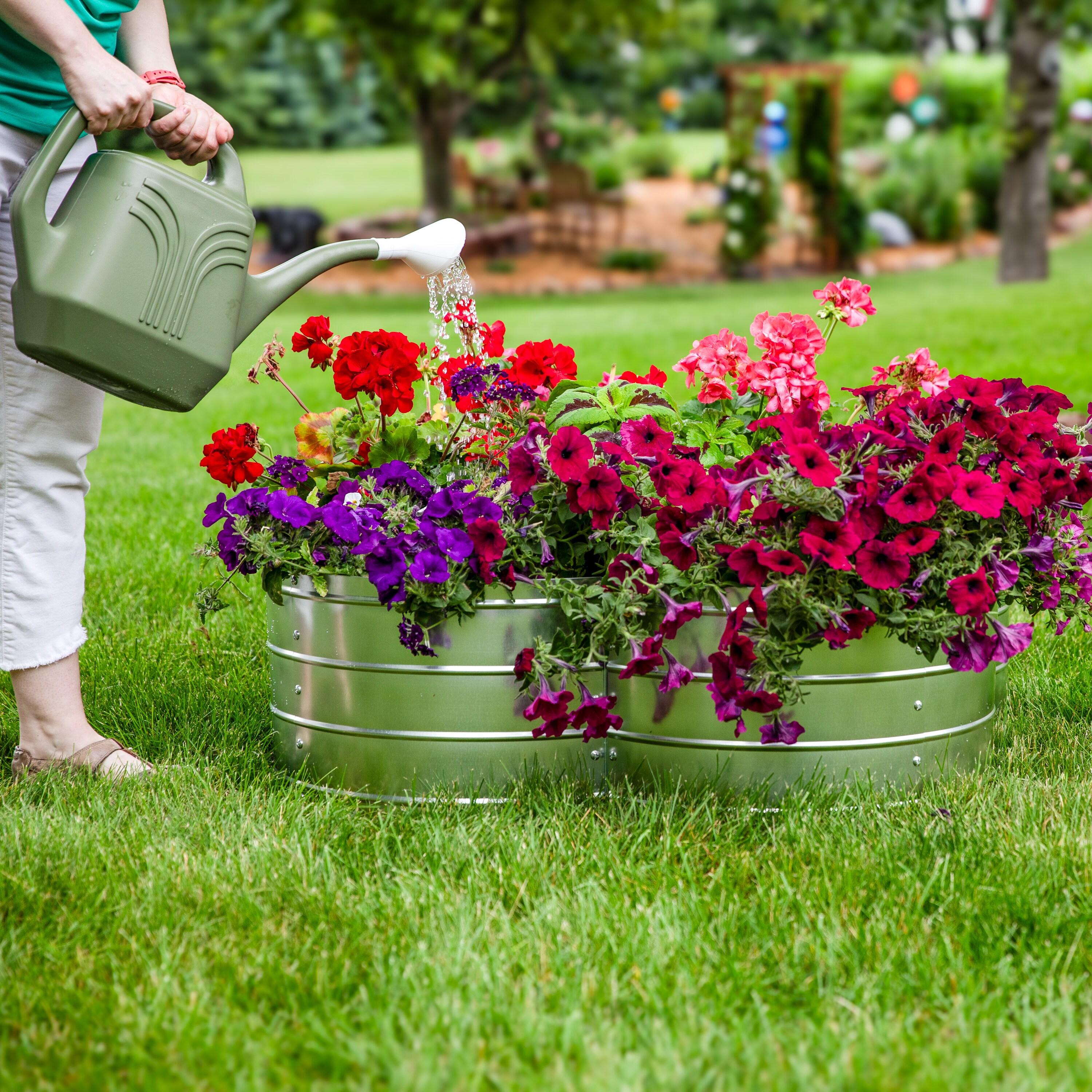 Arlmont & Co. Rotisha Outdoor 4-Leaf Clover Galvanized Steel Raised Garden Bed