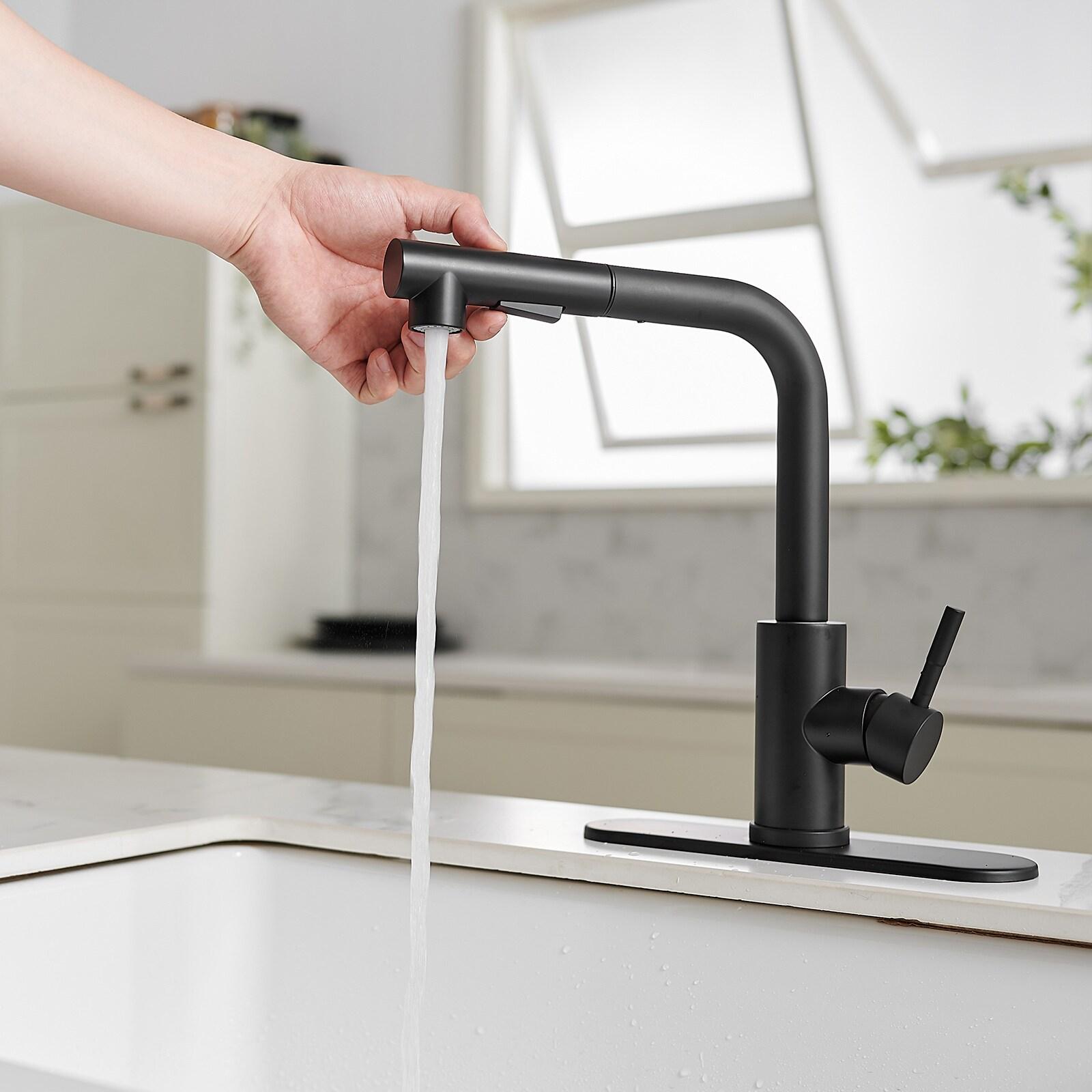 VIBRANTBATH Pull Out Kitchen Faucet