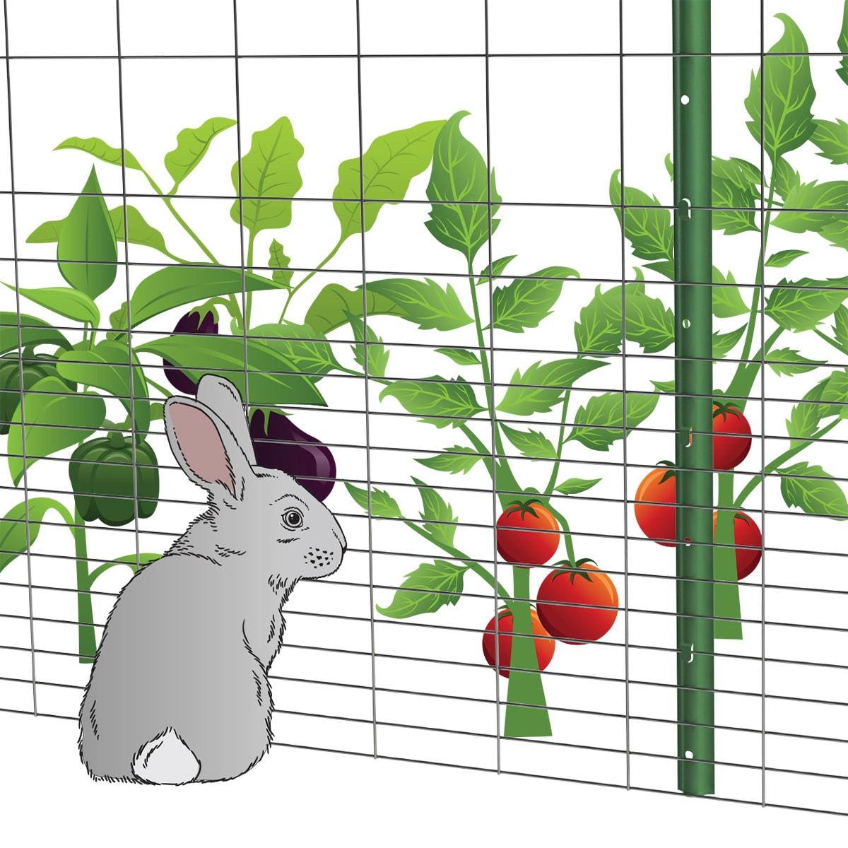 36-Inch Gray Galvanized Steel Rabbit Guard Garden Fence