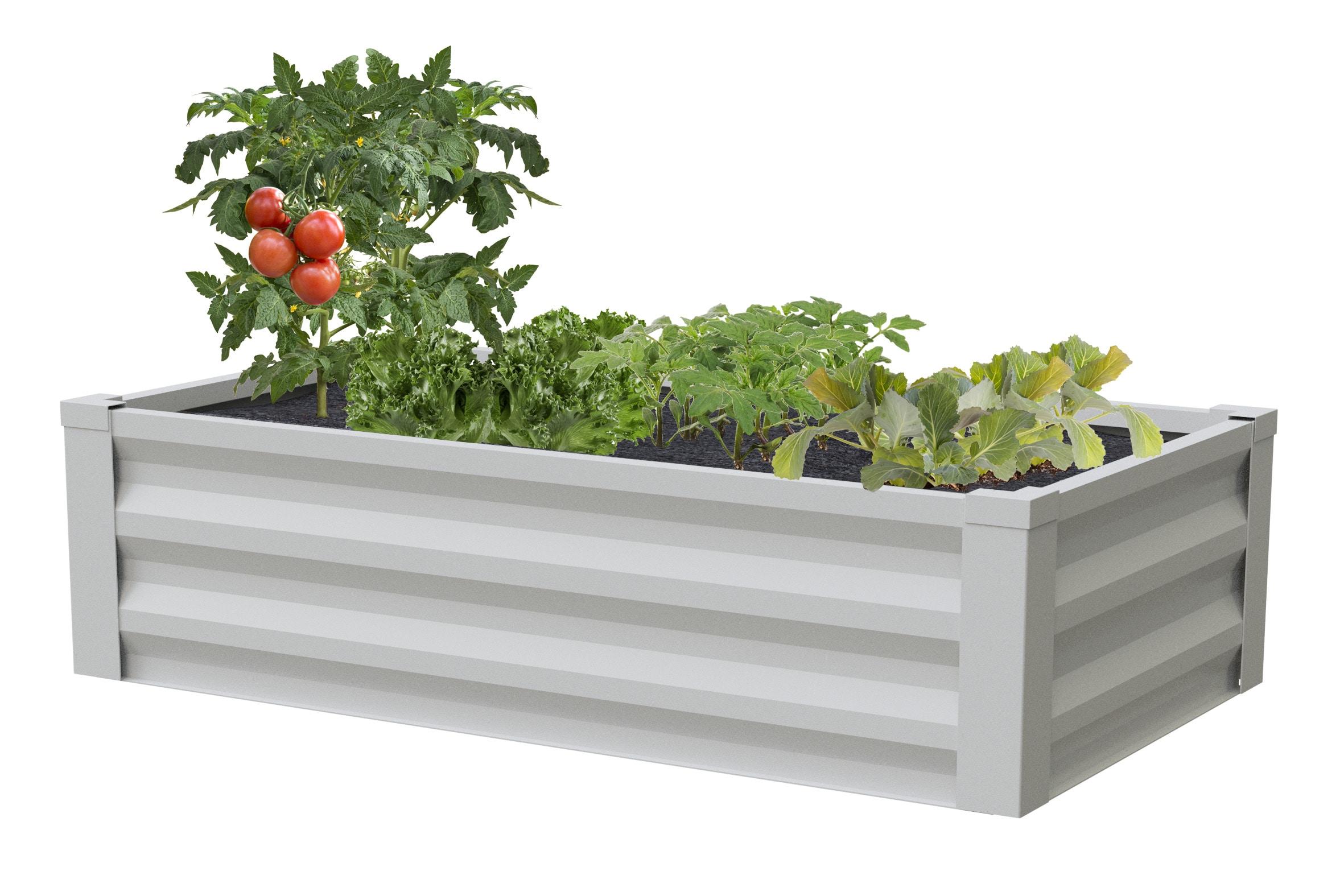 Powder-Coated Metal White Raised Garden Bed 24"W x 48"L x 10"H