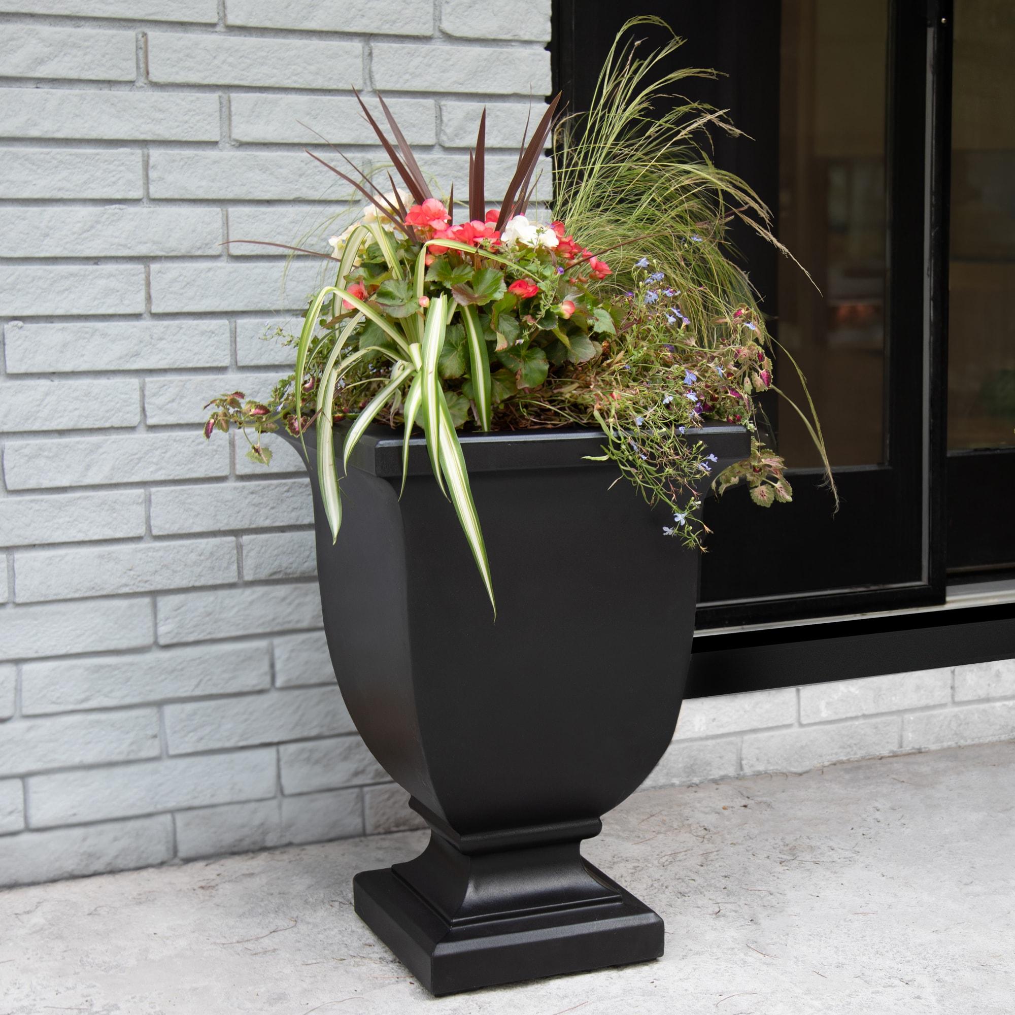 Red Barrel Studio® Arvia Self Water Resin Urn Planter