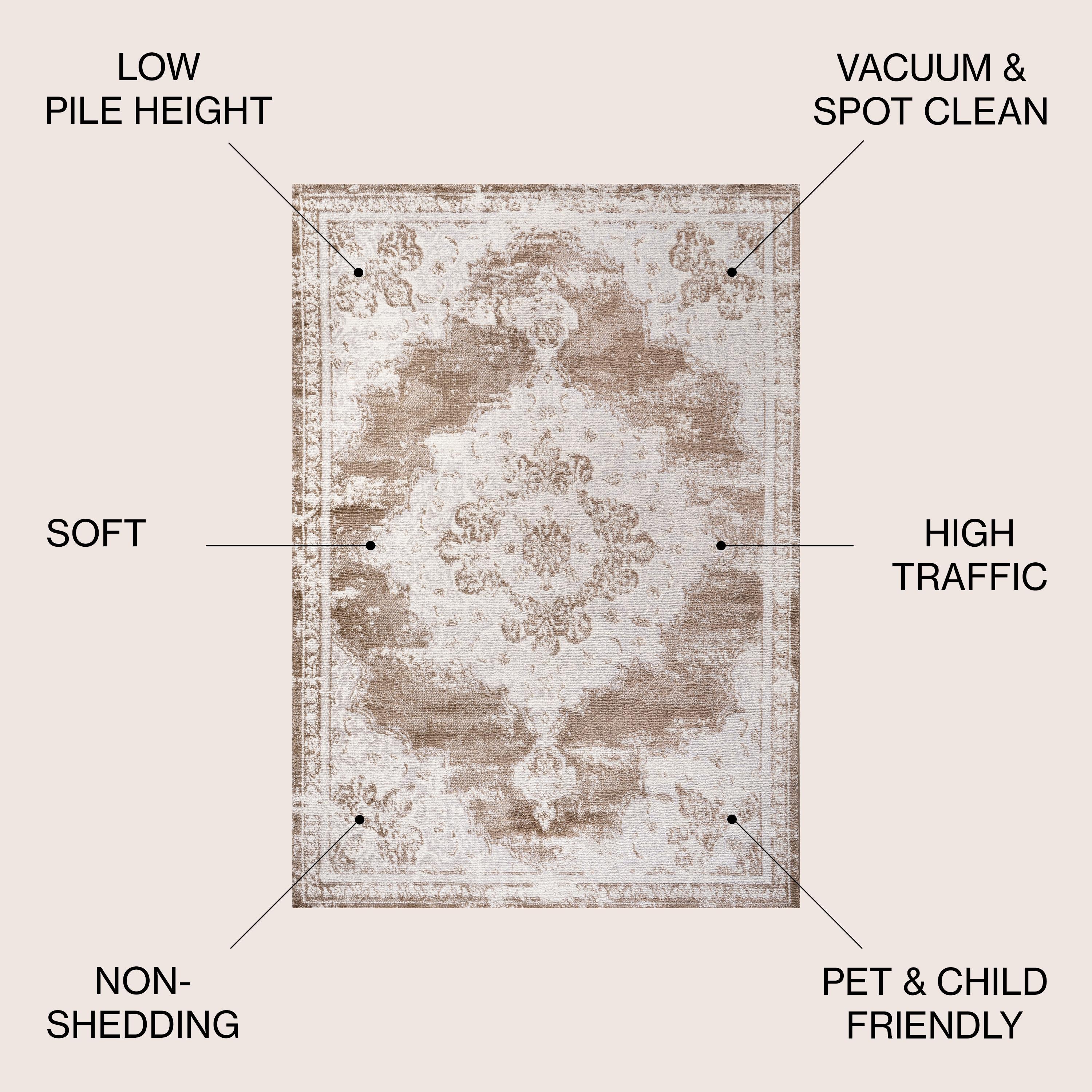 4'x6' Alhambra Ornate Medallion Modern Area Rug, Brown/Cream - JONATHAN Y