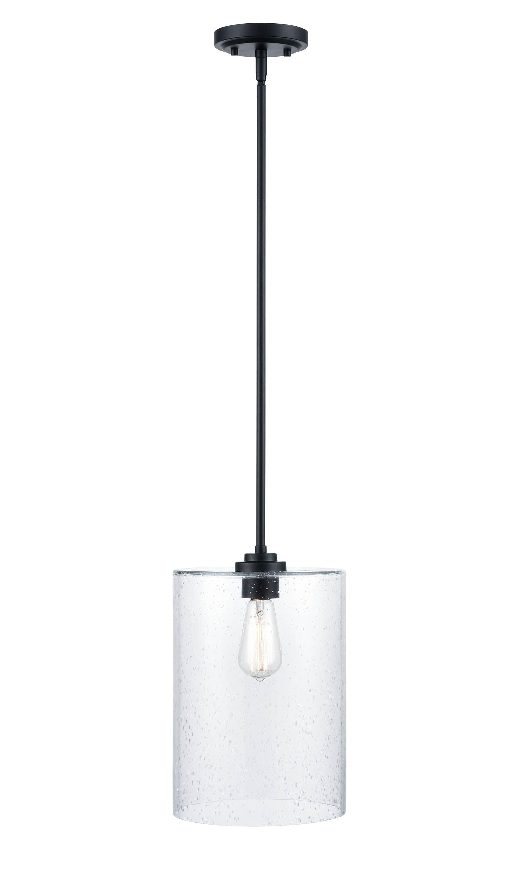 1 - Light Unique/Statement Pendant