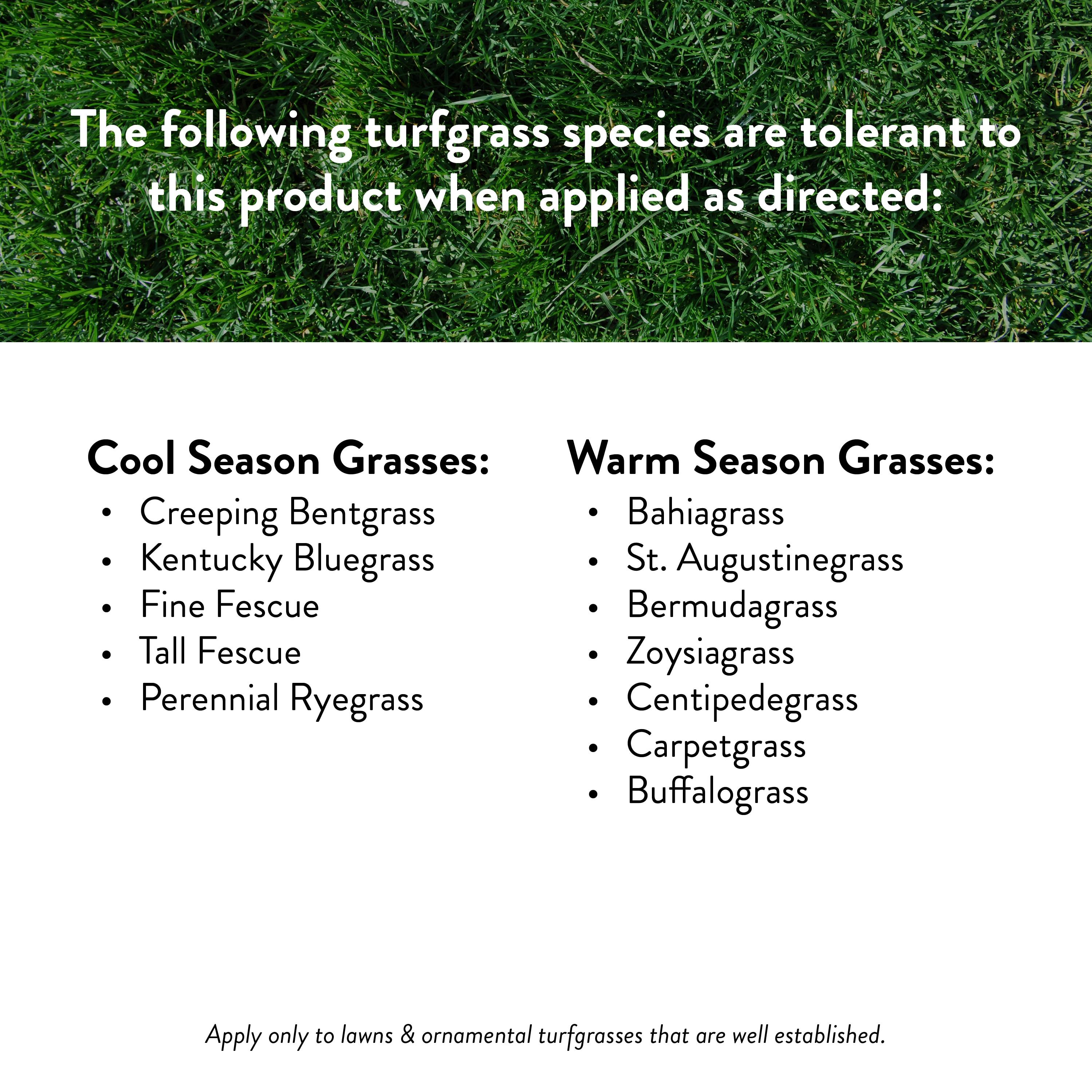 GreenView Crabgrass Control Plus Lawn Food - 13.5 lb. - Covers 5,000 Sq. ft.