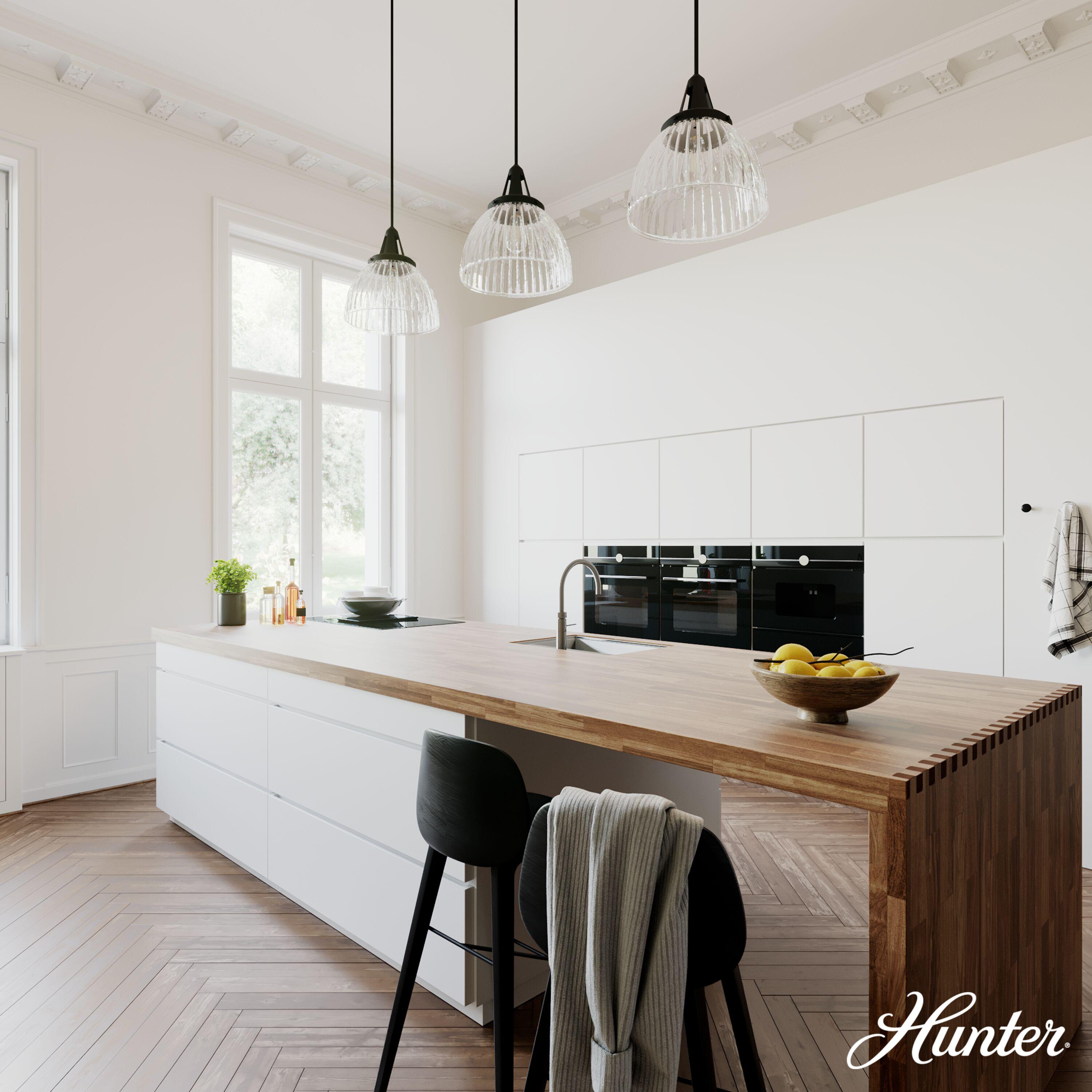 Hunter - Cypress Grove 1-light Natural Black Iron, Medium Size Pendant Light, Dimmable, Transitional Style, Dome Shaped, for Bedrooms, Kitchens, Dining, Living Rooms - 19251