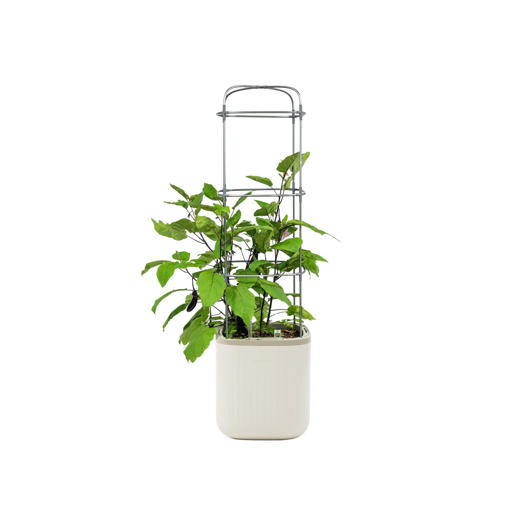 Vego Garden Mini Tomato Plastic Outdoor Pot Planter with Trellis