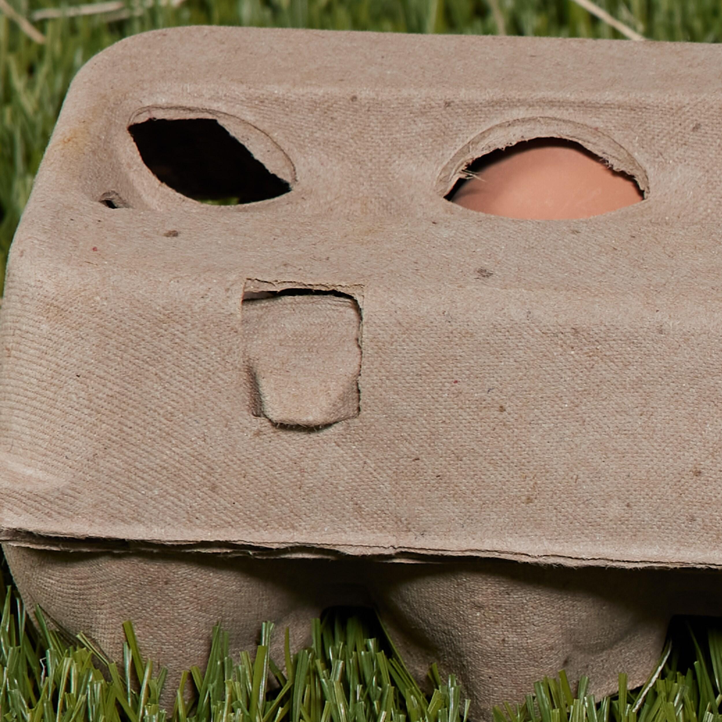 Pecking Order Cardboard Egg Carton 12-pack Dozen Cardboard Egg carton