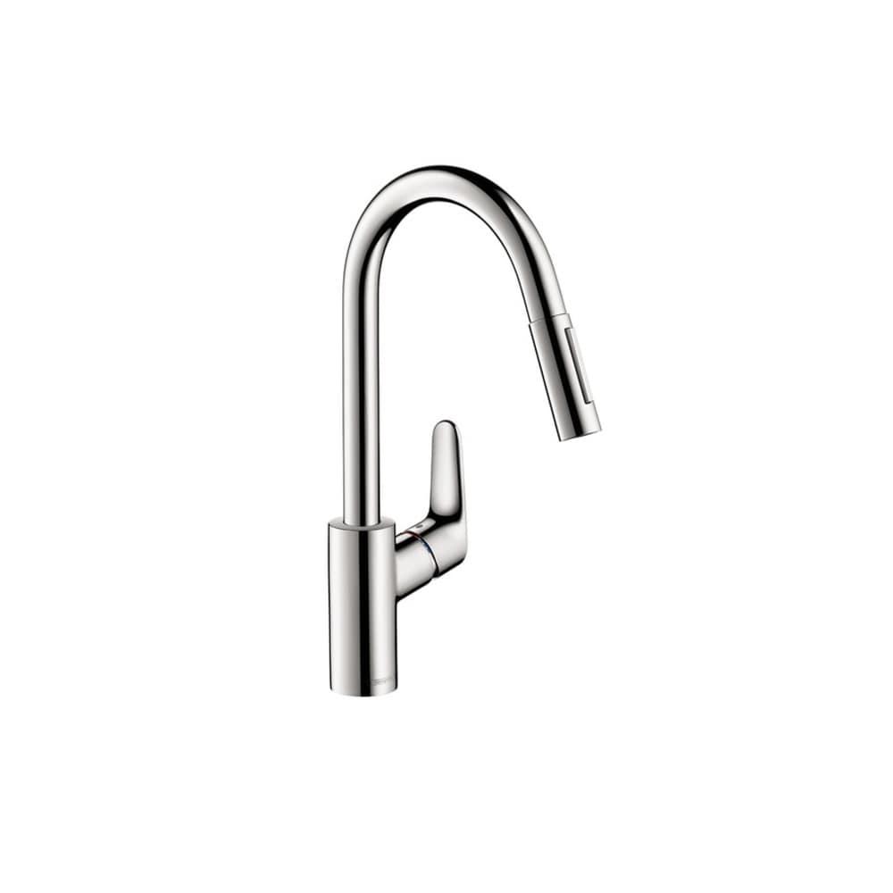 Focus Single Handle Kitchen Faucet