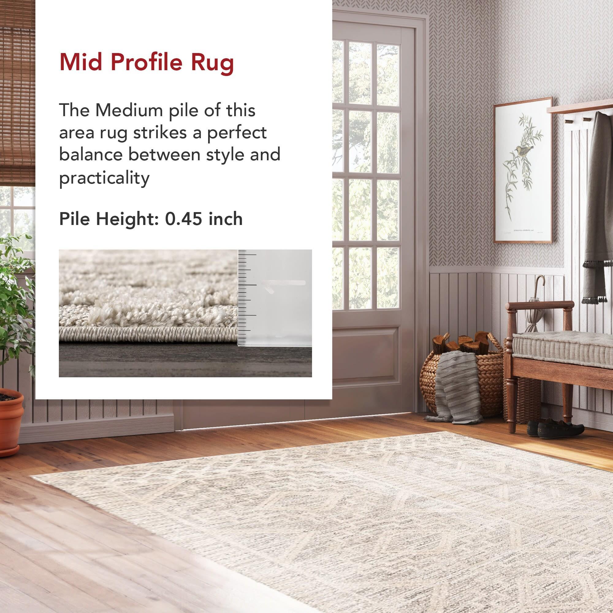 Nuloom Cameron Moroccan 8x10 Indoor Area Rug for Living Room Bedroom Dining Room Kitchen, Beige/Ivory