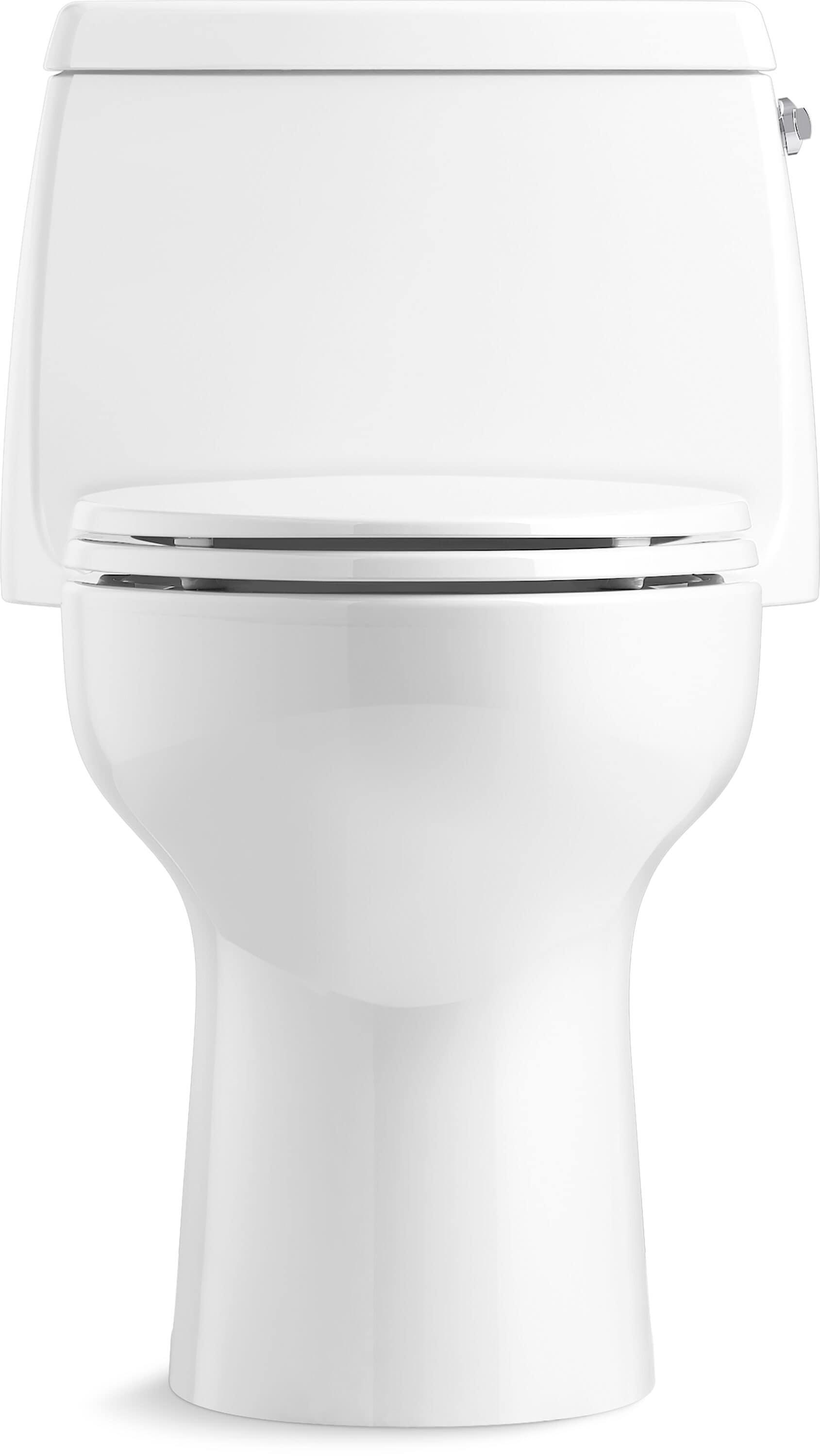 Santa Rosa One-Piece Compact Elongated 1.6 Gpf Toilet With Revolution 360 Swirl Flushing Technology