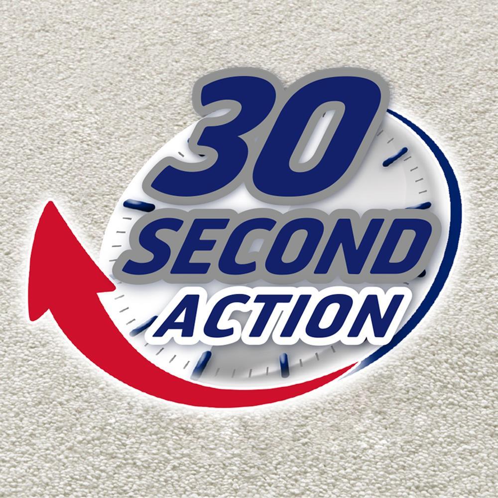 Resolve Pet Stain Remover Spray - 22oz