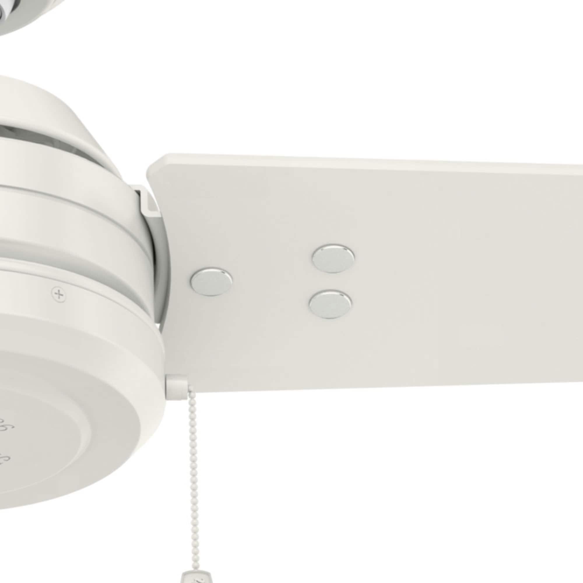 52" Cassius 3 - Blade Outdoor Standard Ceiling Fan with Pull Chain