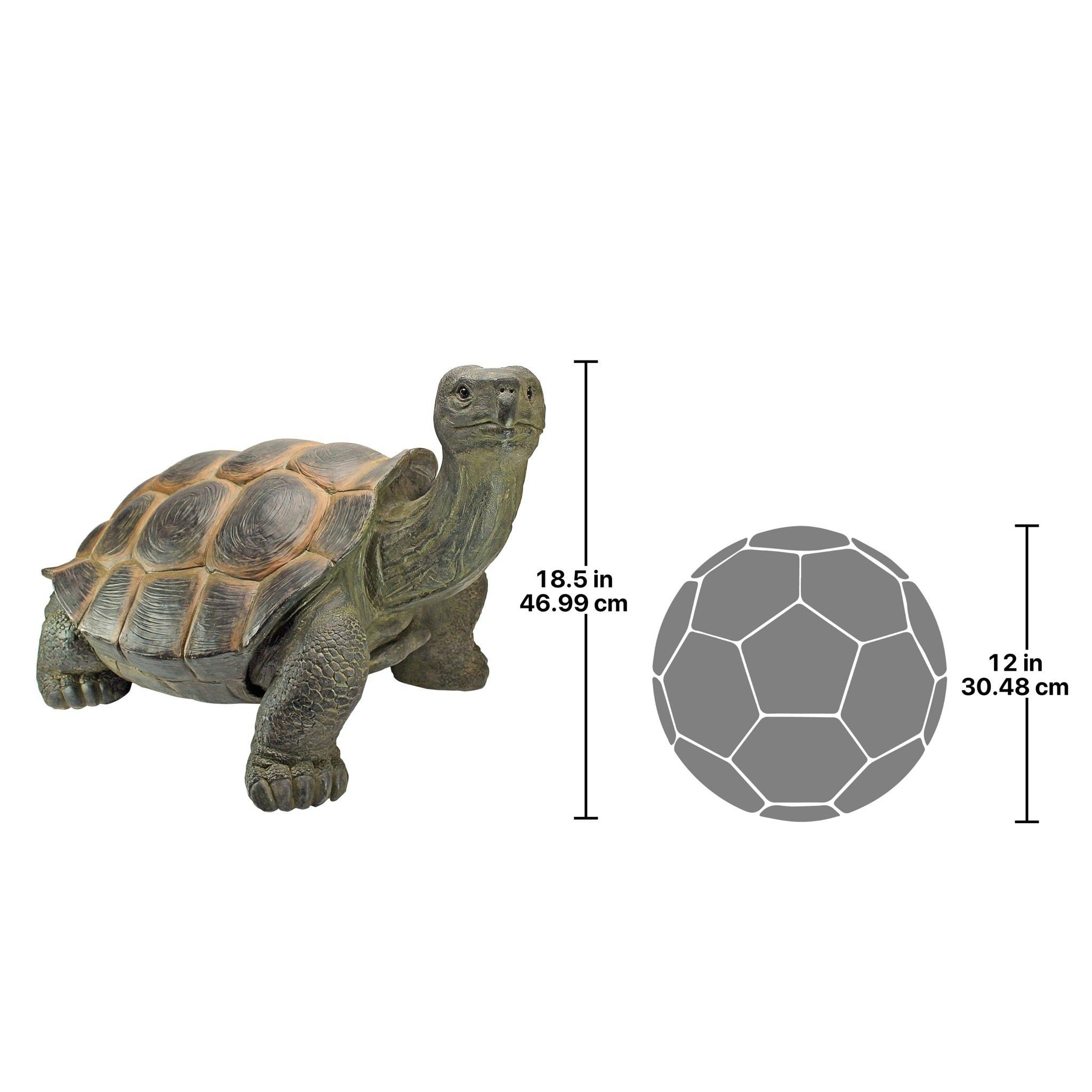 Design Toscano The Cagey Tortoise Statue