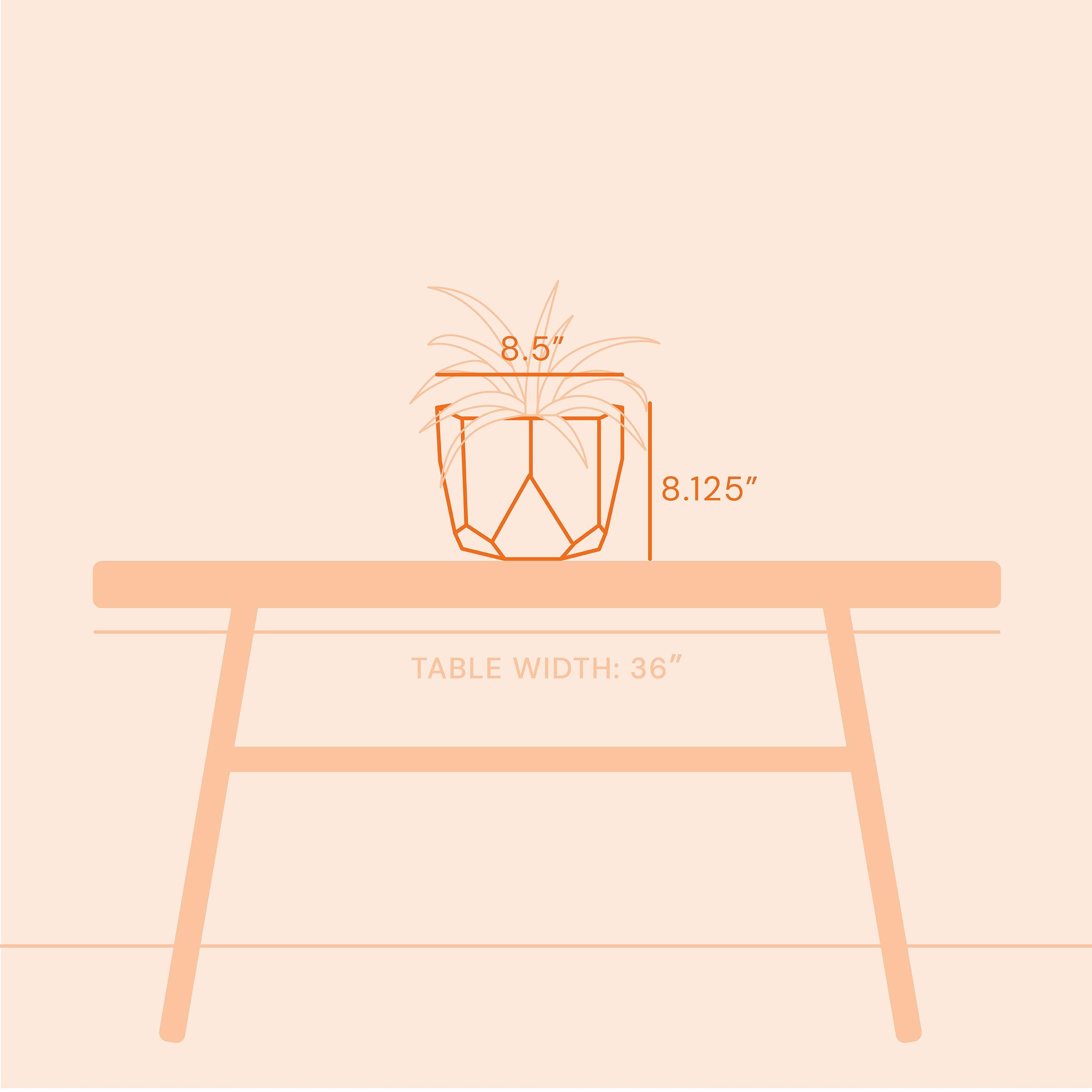 Bloem Tuxton 8.125 in. H X 8 in. D Resin Planter Charcoal