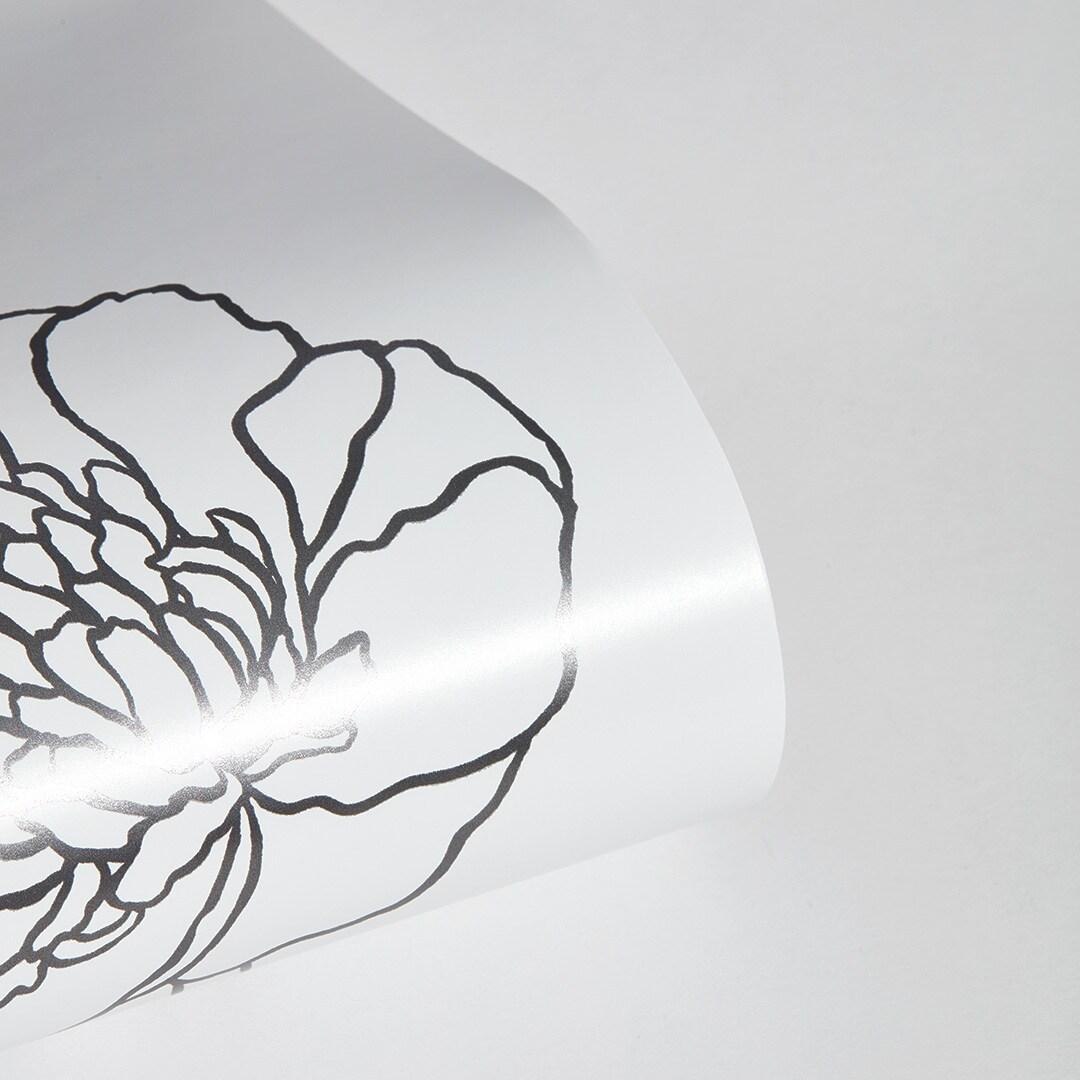 Tempaper & Co. Peonies Removable Peel and Stick Wallpaper, Black and White Floral, 56 sq. ft.: Vinyl Self-Adhesive Botanical Decor