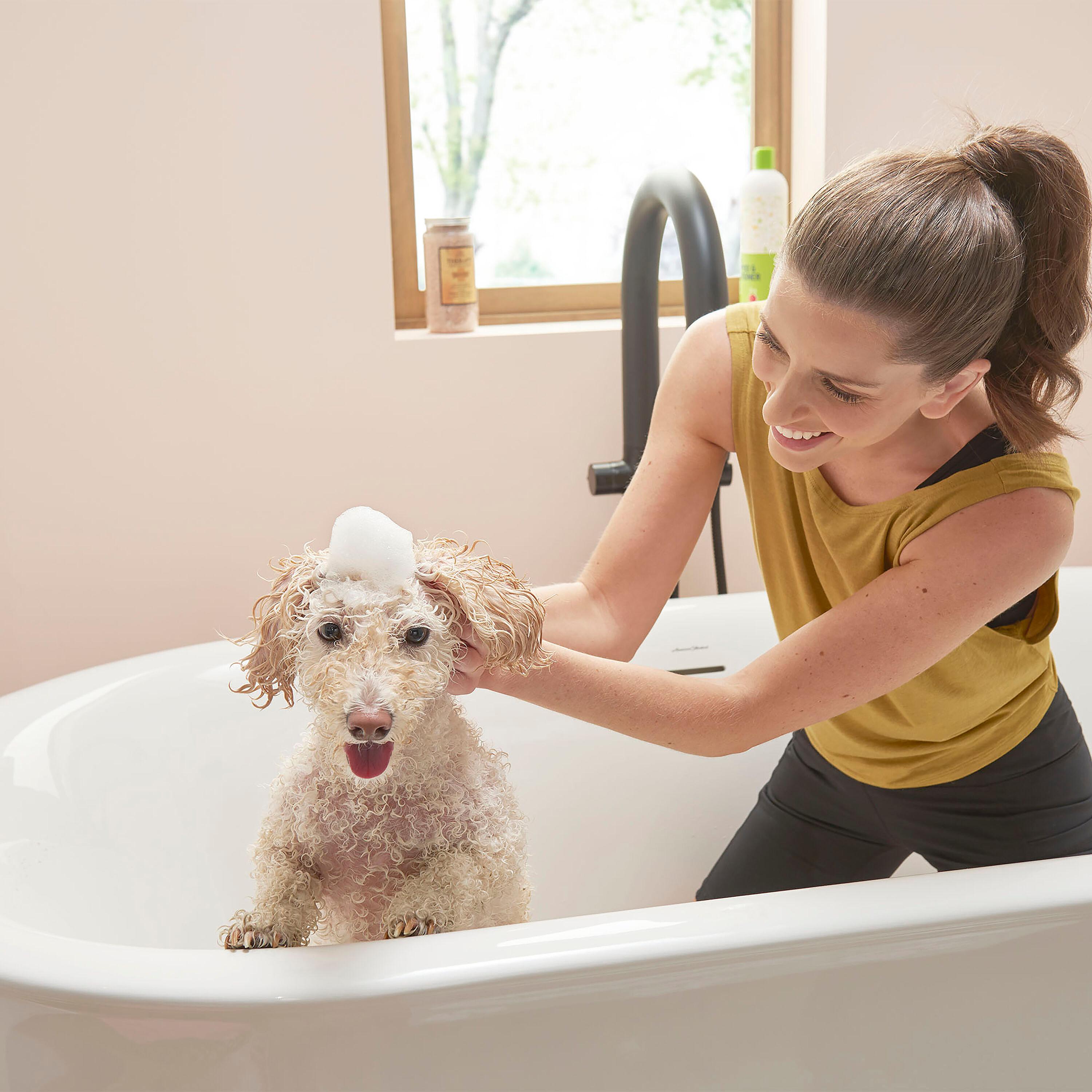 1 Handle Floor Tub Filler with Diverter