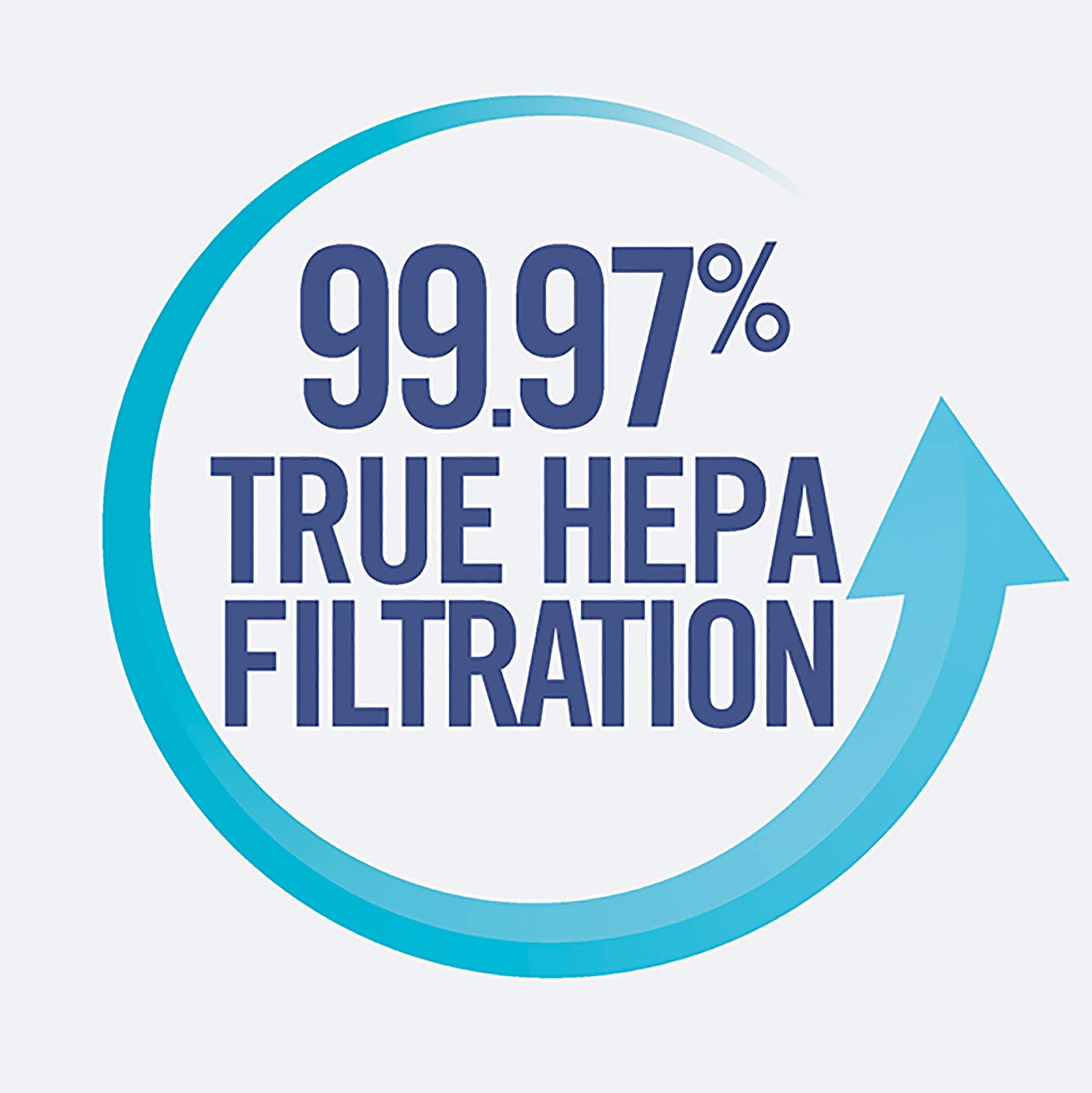 HoMedics PetPlus Large Room Air Purifier with UV-C Technology: Electric, 3 Settings, CARB Certified, 100-300 sq. ft.