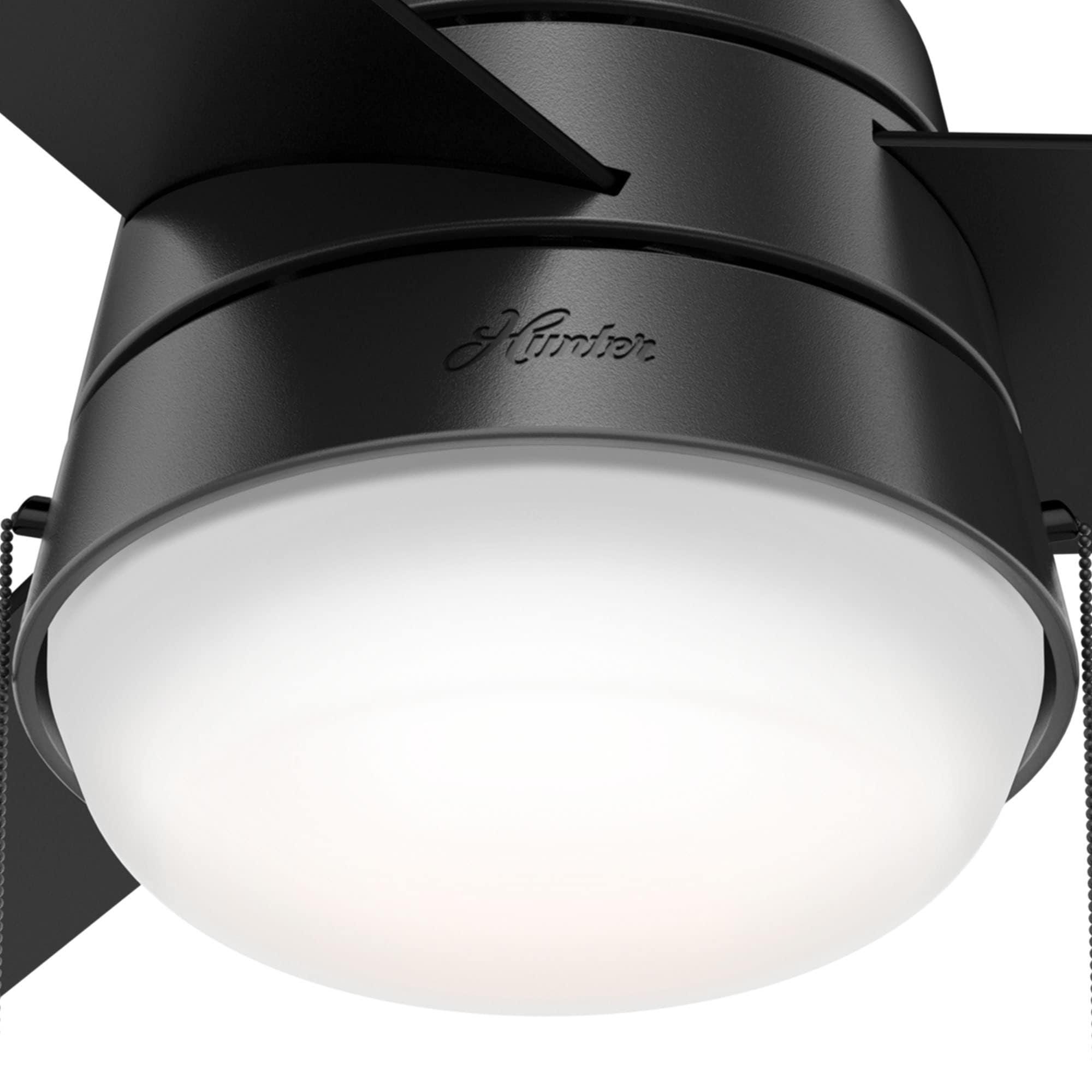 Aker 36" 3 - Blade Standard Ceiling Fan with Lights and Pull Chains