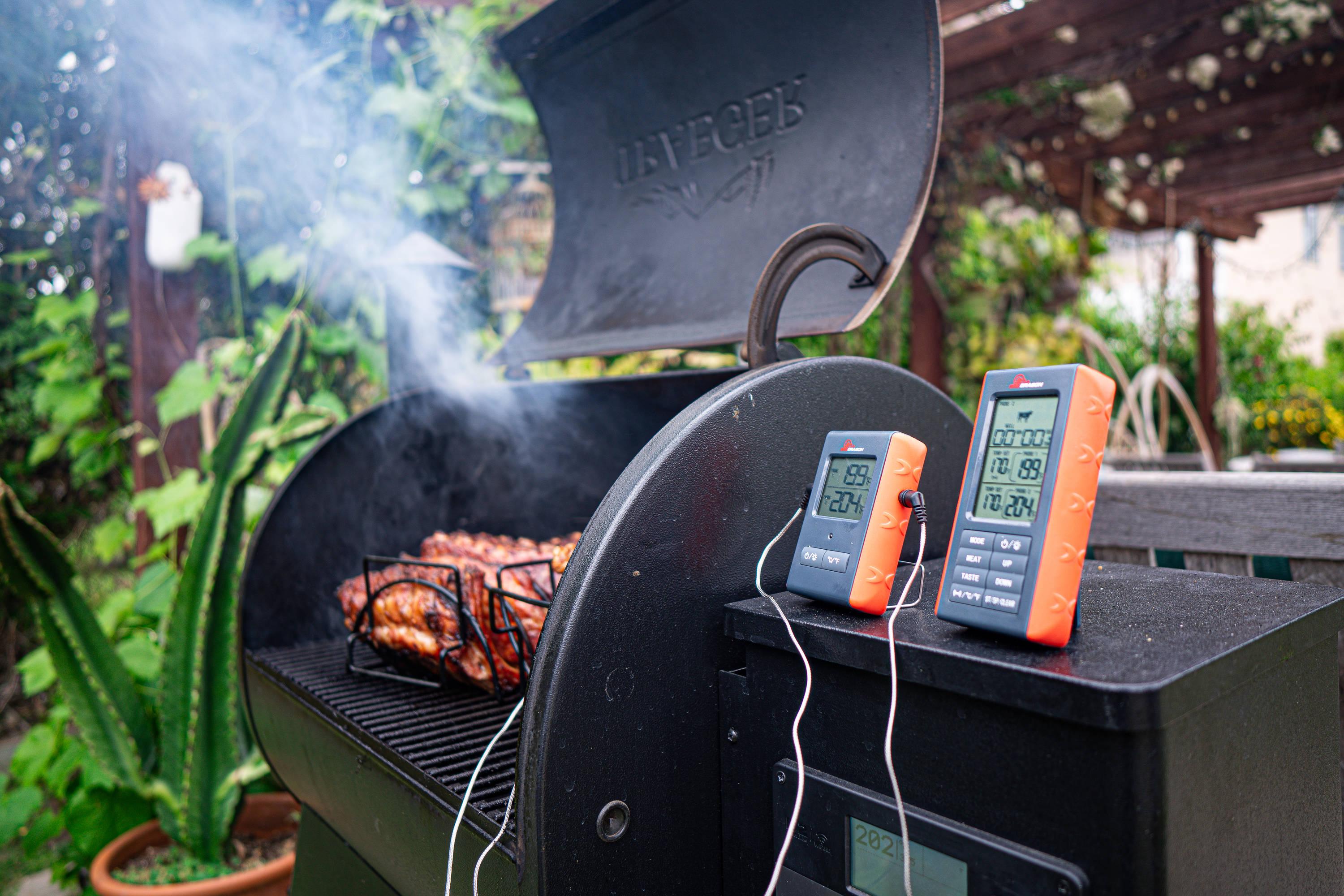 BBQ Dragon Grill Thermometer