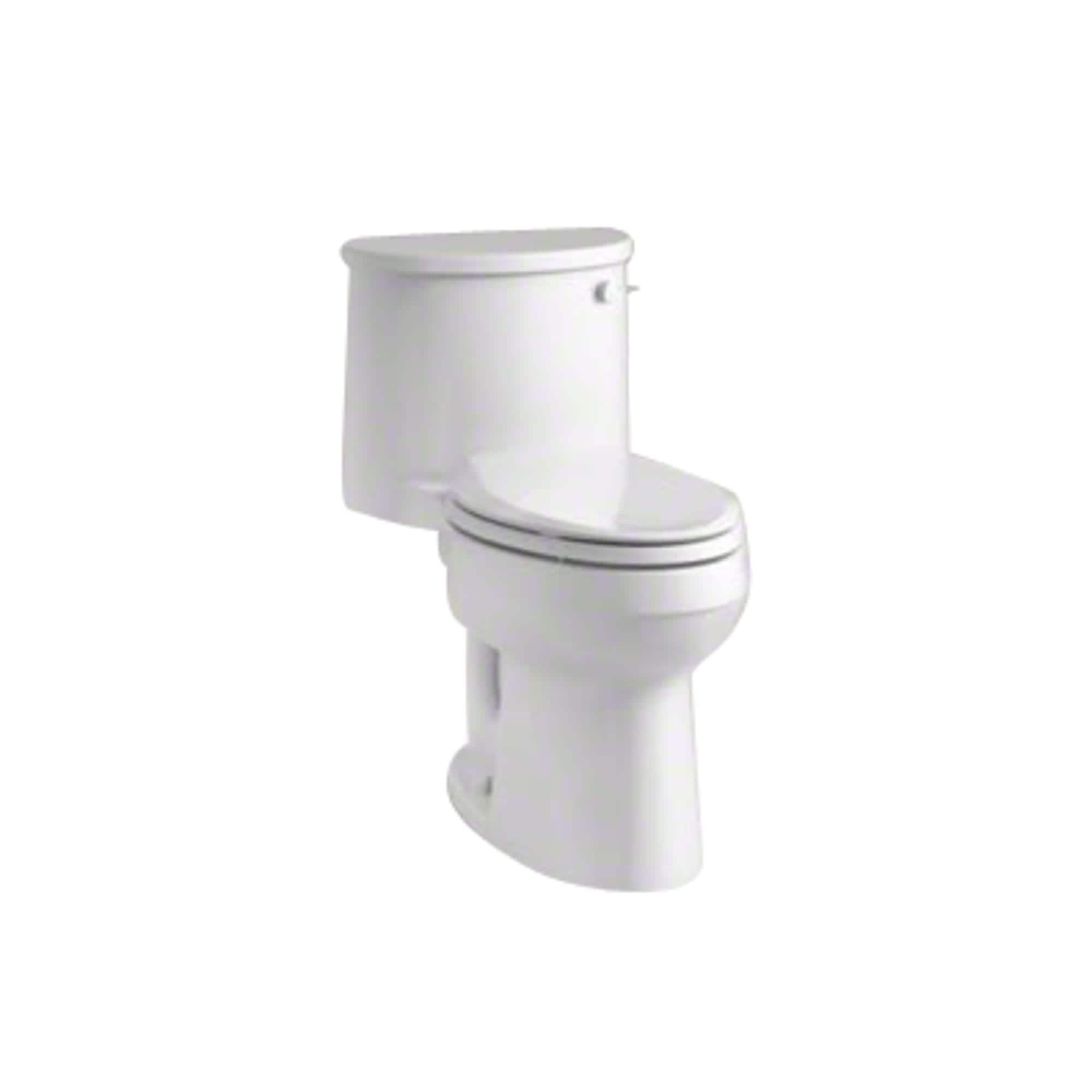 Adair 1.28 GPF Water Efficient Elongated One-Piece toilet (Seat Included)