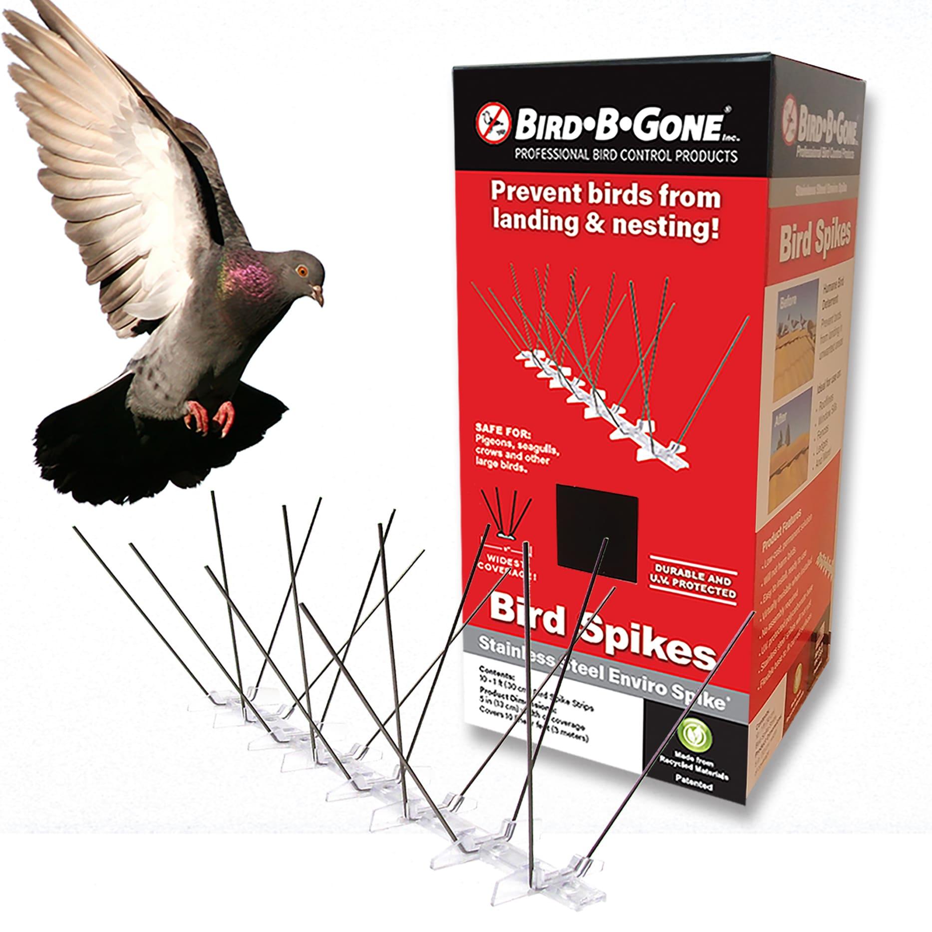 Bird-B-Gone Enviro Spike Stainless Steel Bird Spike, Deterrent Repellent, 10 ft. x 5 in.