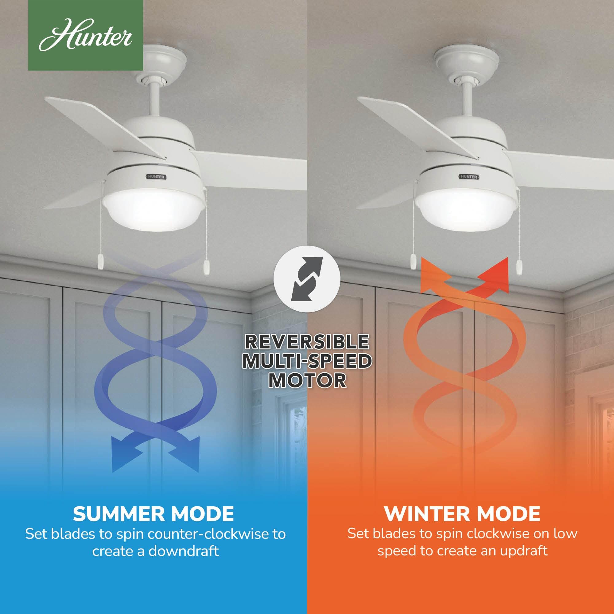Aker 36" 3 - Blade Standard Ceiling Fan with Lights and Pull Chains