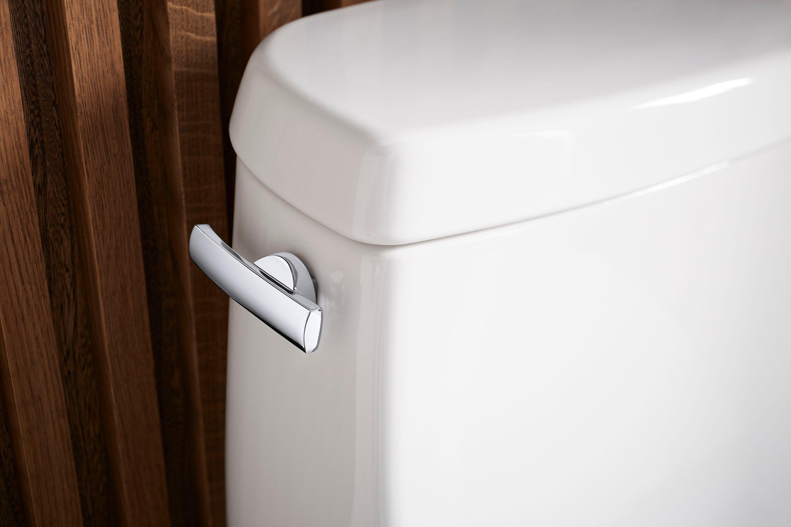 Santa Rosa One-Piece Compact Elongated 1.6 Gpf Toilet With Revolution 360 Swirl Flushing Technology