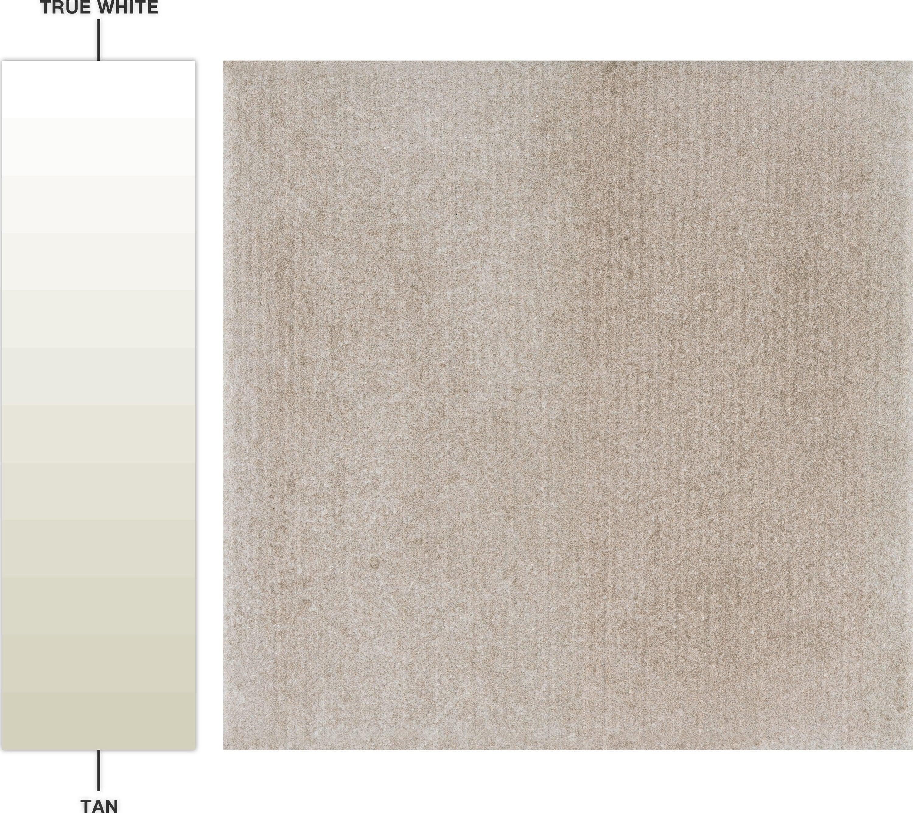 Matter 6" x 6" Porcelain Stone Look Floor and Wall Tile