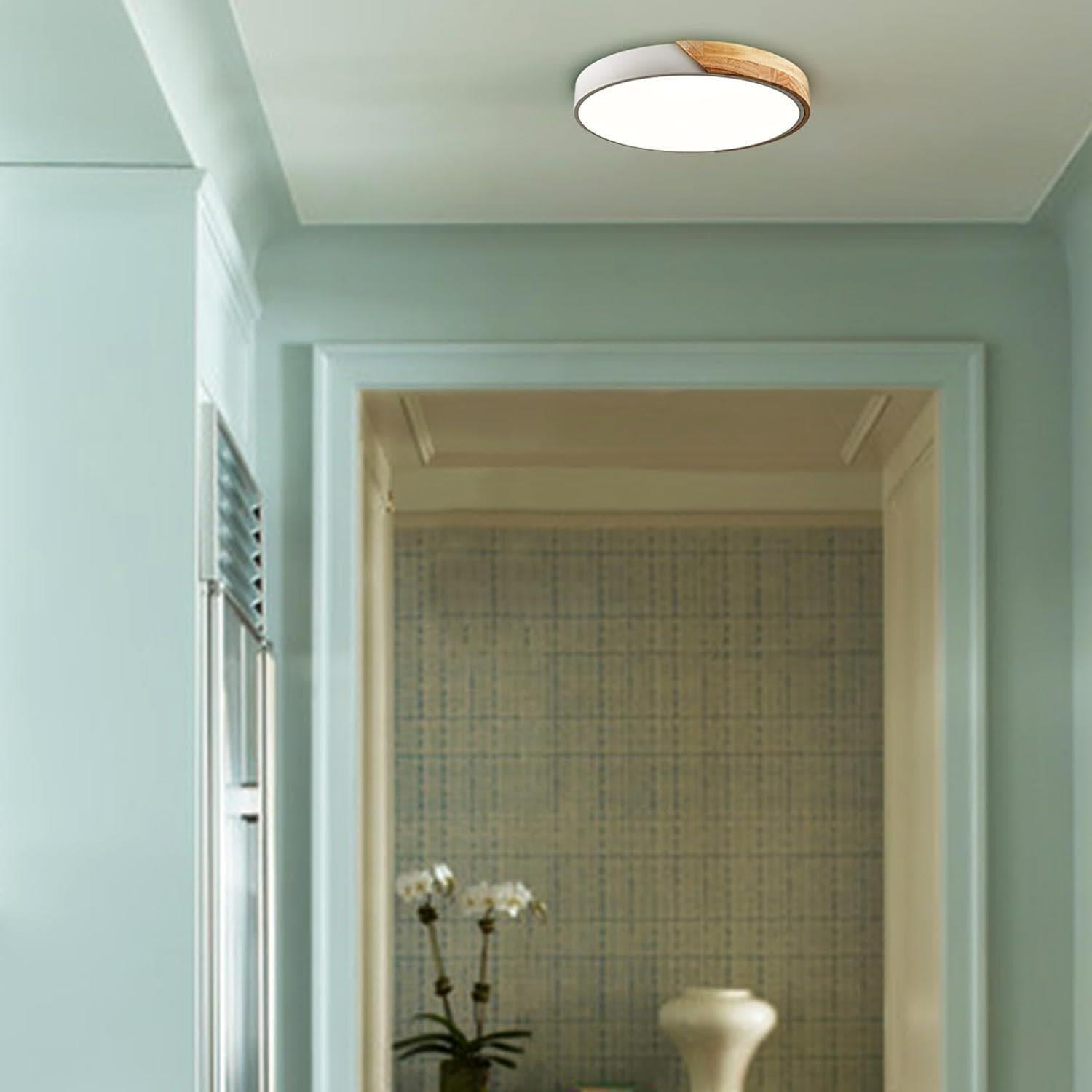 Modern White Flush Mount LED Ceiling Light Fixture