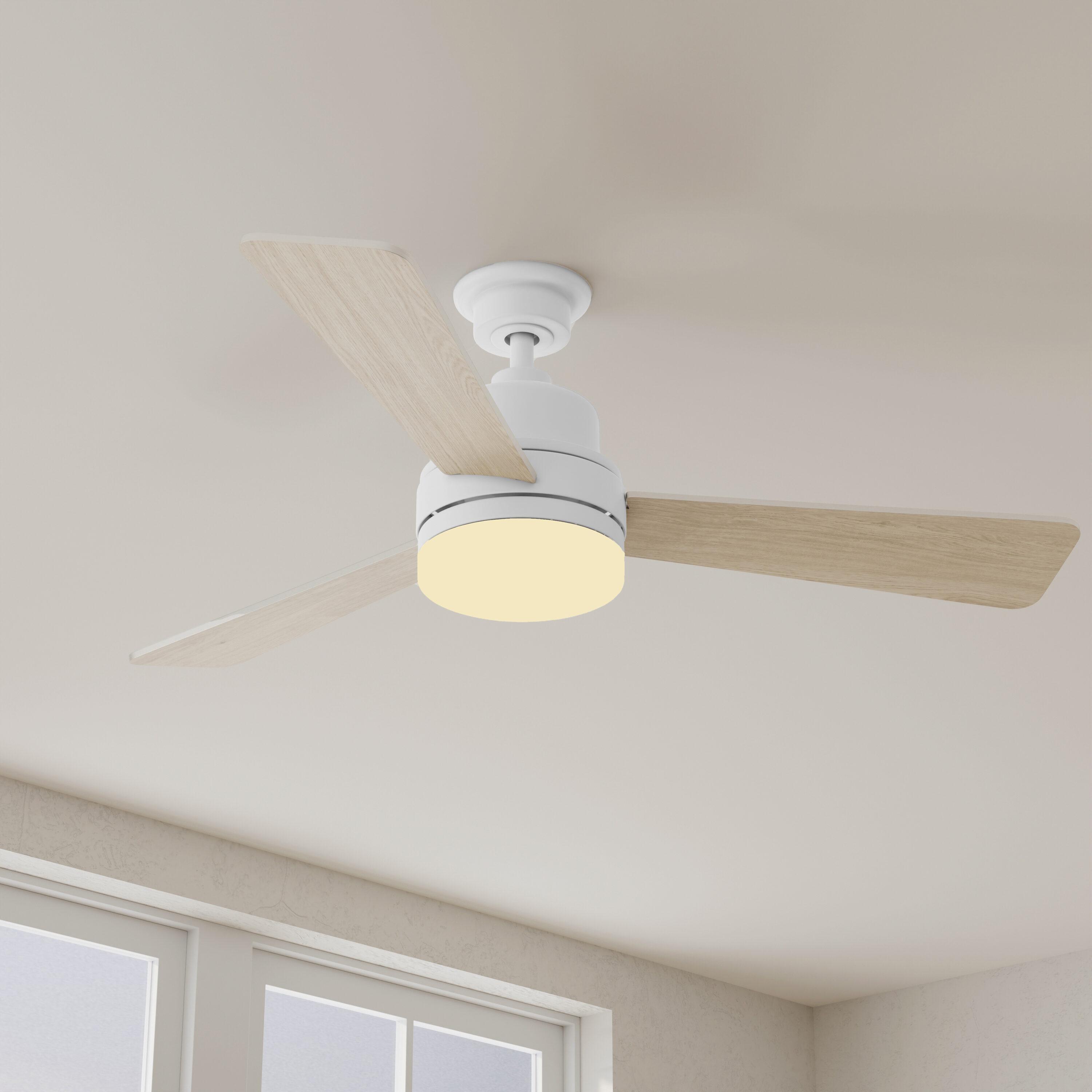Hokku Designs Bailey-Rae 52'' Ceiling Fan with LED Lights
