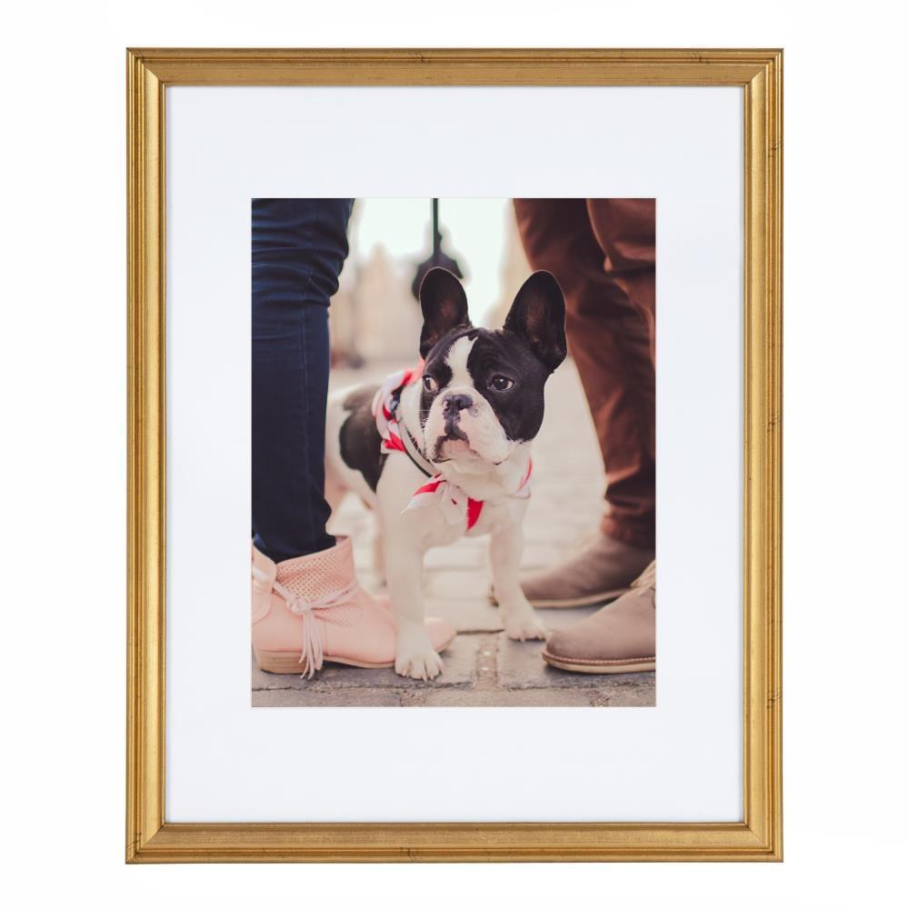 Kate & Laurel All Things Decor 11"x14" Matted to 8"x10" Adlynn Rectangle Picture Frame Gold: Modern Style 4-Piece Set