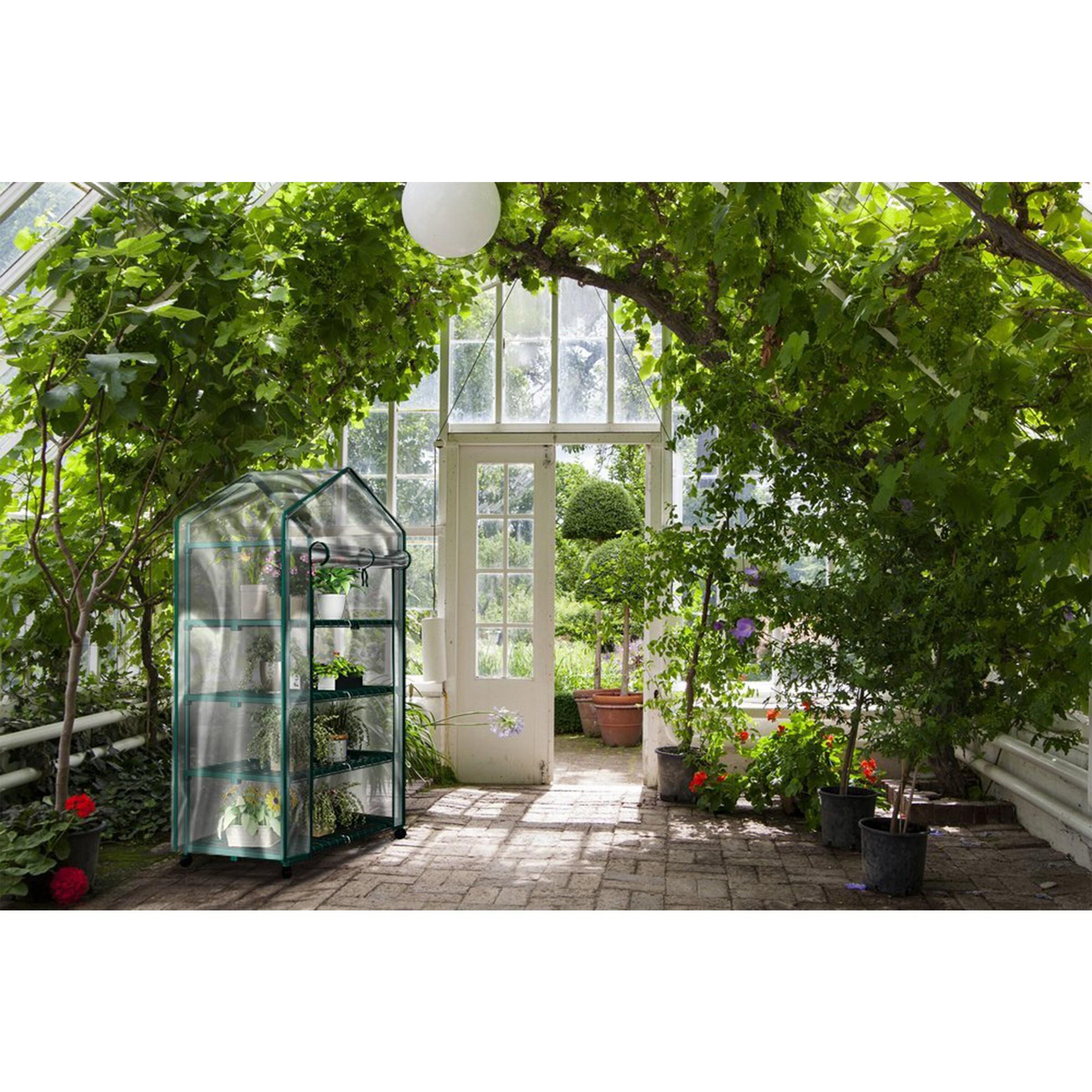 Nature Spring Greenhouse With 4 Shelves, PVC Cover, and Removable Locking Wheels - 19.3" x 63.3"