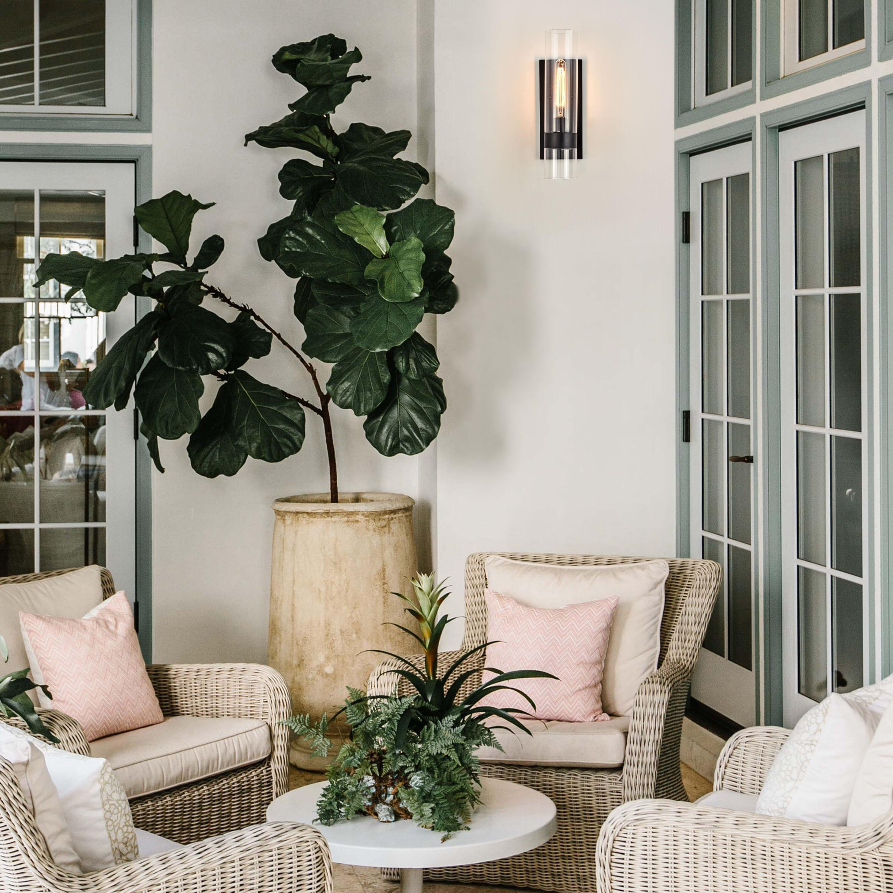 C Cattleya 1 Light Black Wall Sconce, Cylinder Glass Shade