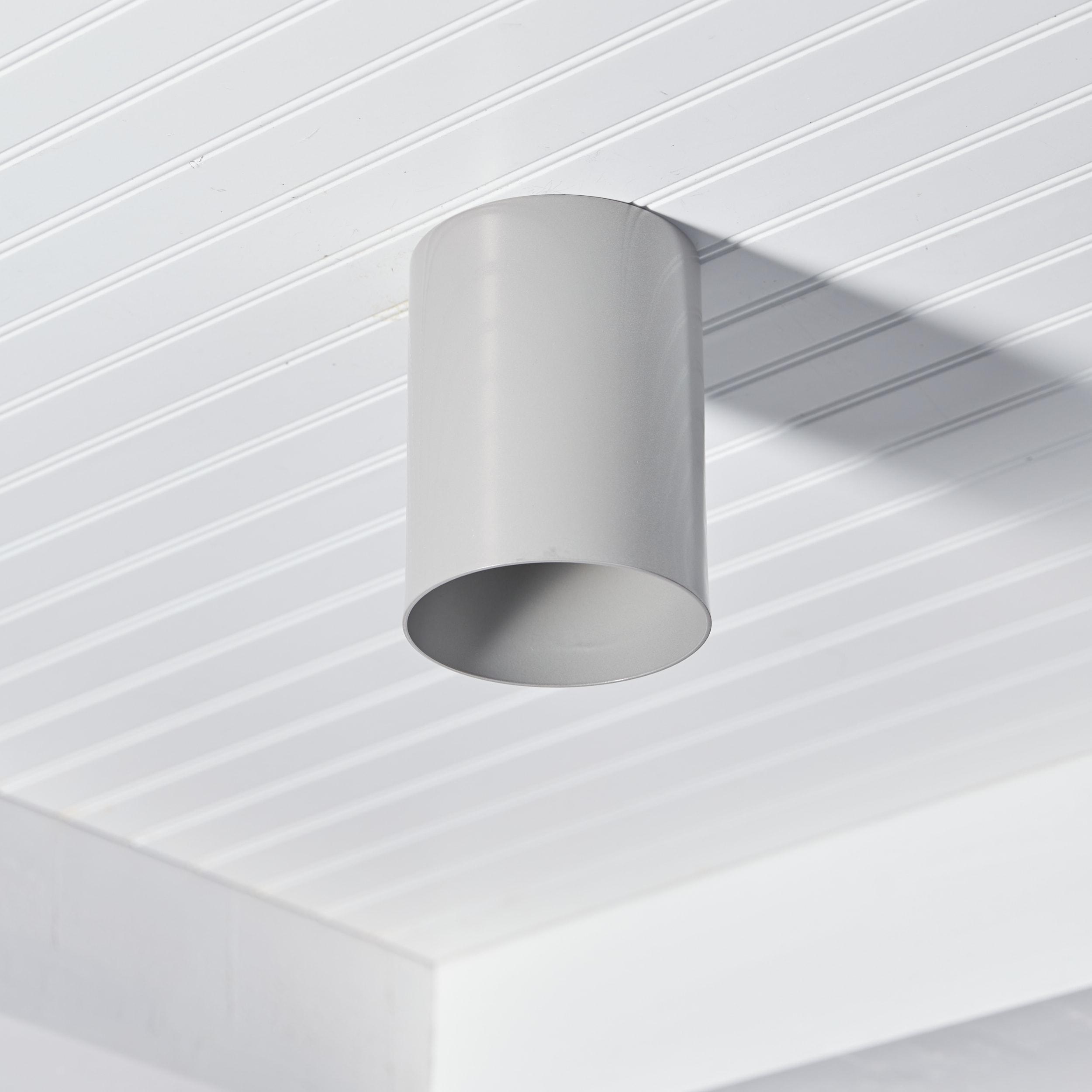 Transitional Small Outdoor LED Flush Mount in Painted Brushed Nickel