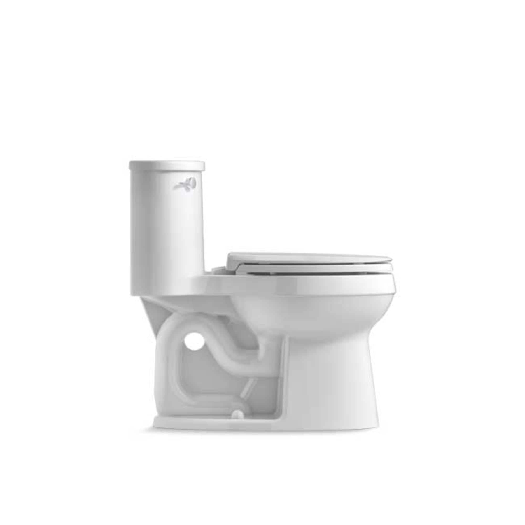 Adair 1.28 GPF Water Efficient Elongated One-Piece toilet (Seat Included)