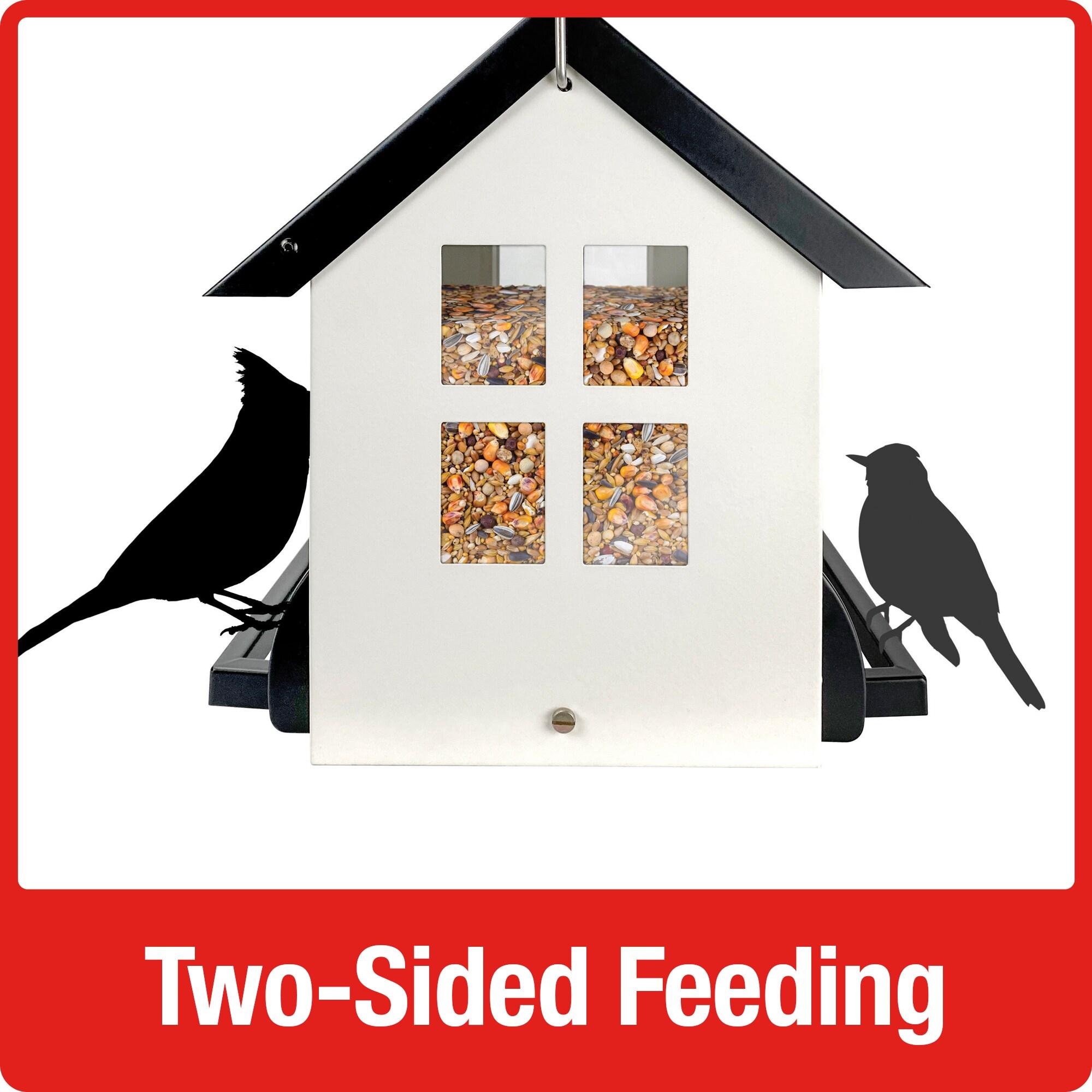 Nature's Way White Squirrel Shield Hopper Feeder - 5.5 Quart