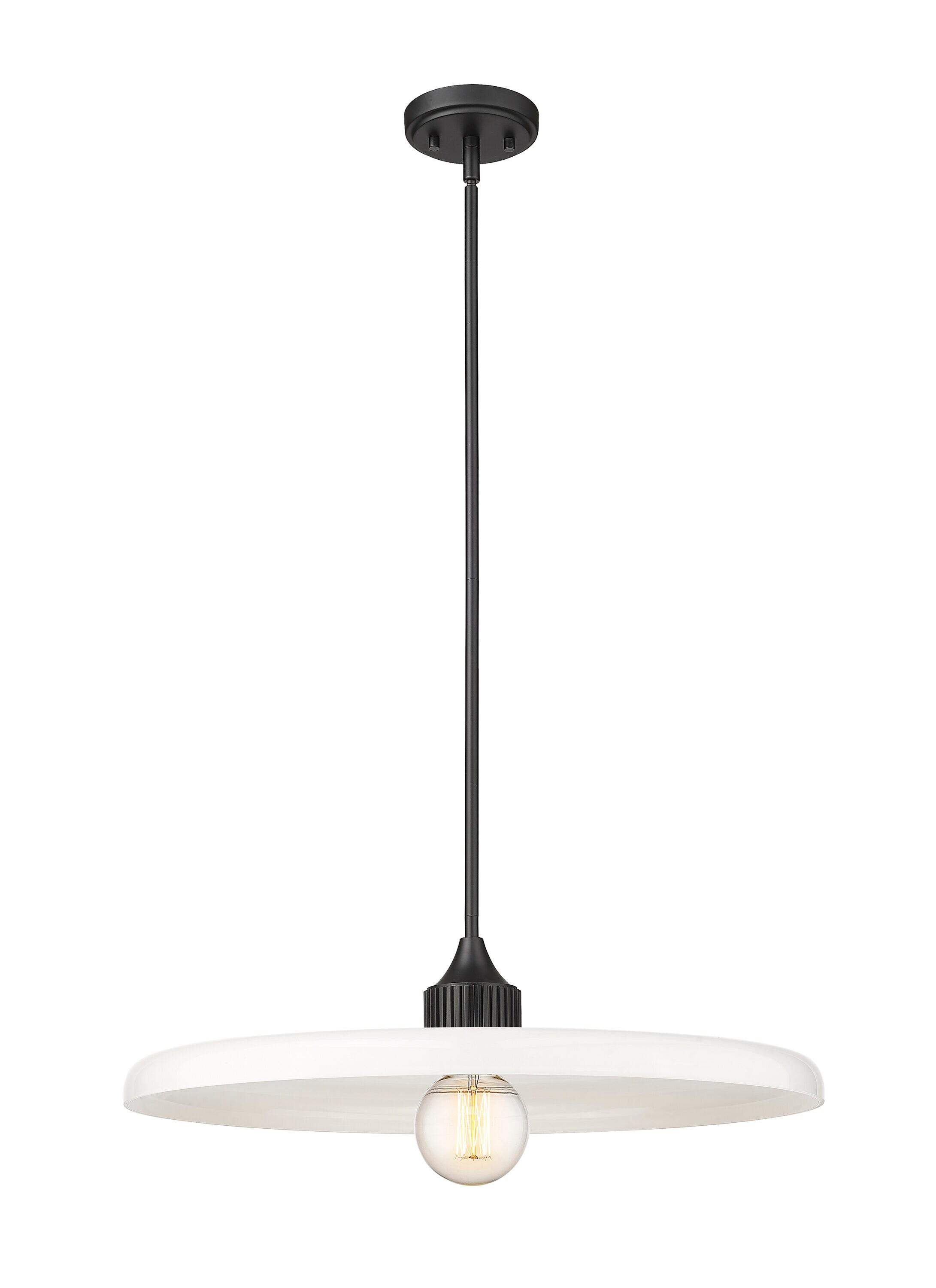 Z-Lite Paloma 1 - Light Pendant in  Matte Black