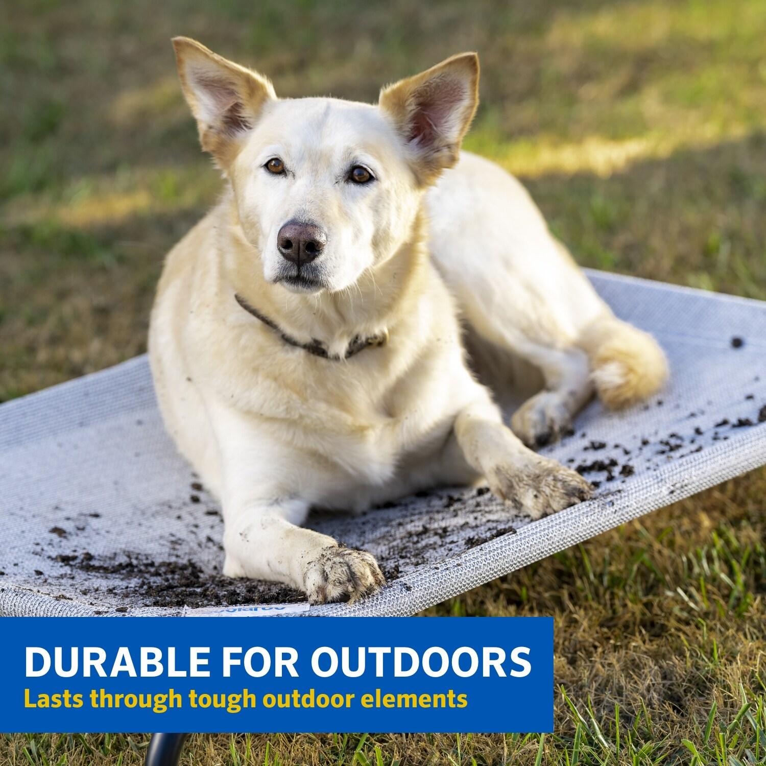 The Original Coolaroo Elevated Pet Dog Bed for Indoors & Outdoors, Medium, Aquatic Blue