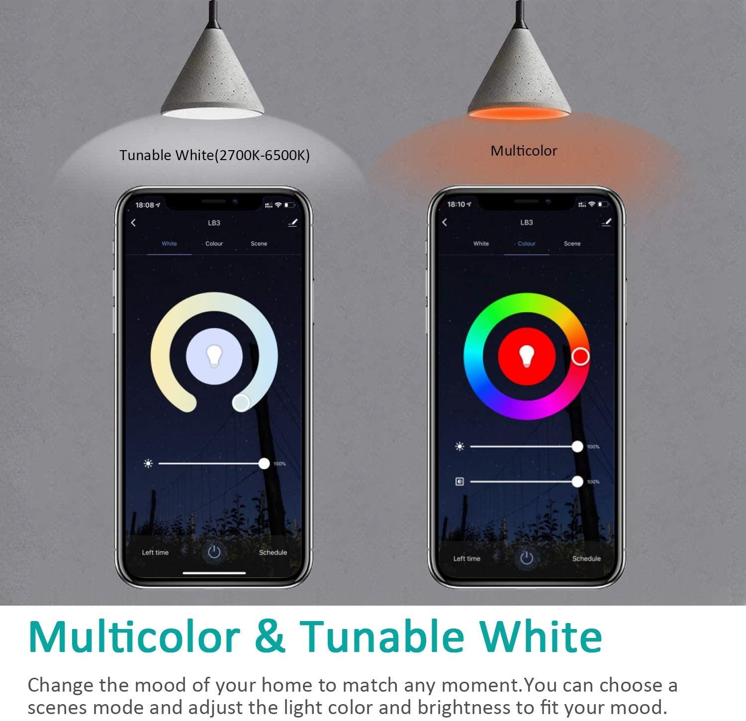 75 Watt Equivalent BR30 E26/Medium (Standard) Dimmable LED Smart Bulb