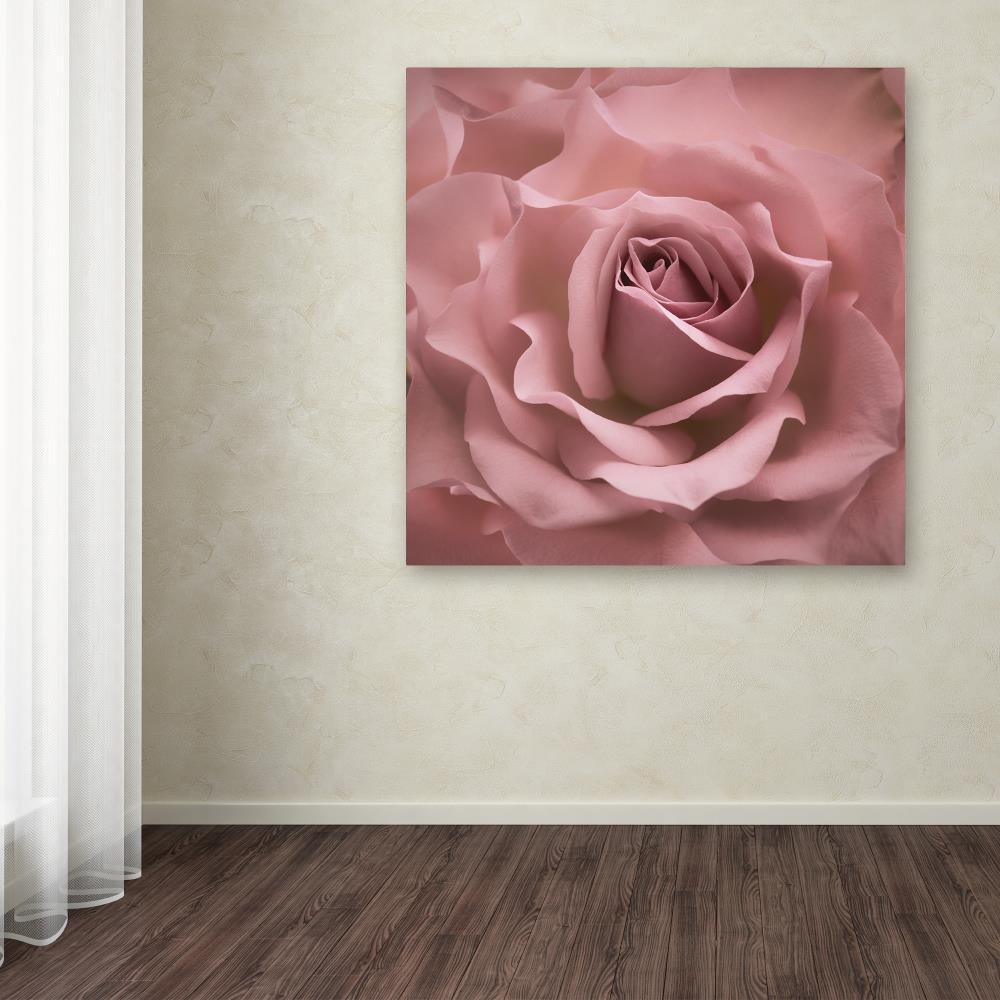 House of Hampton® " Misty Rose Pink Rose " by Cora Niele