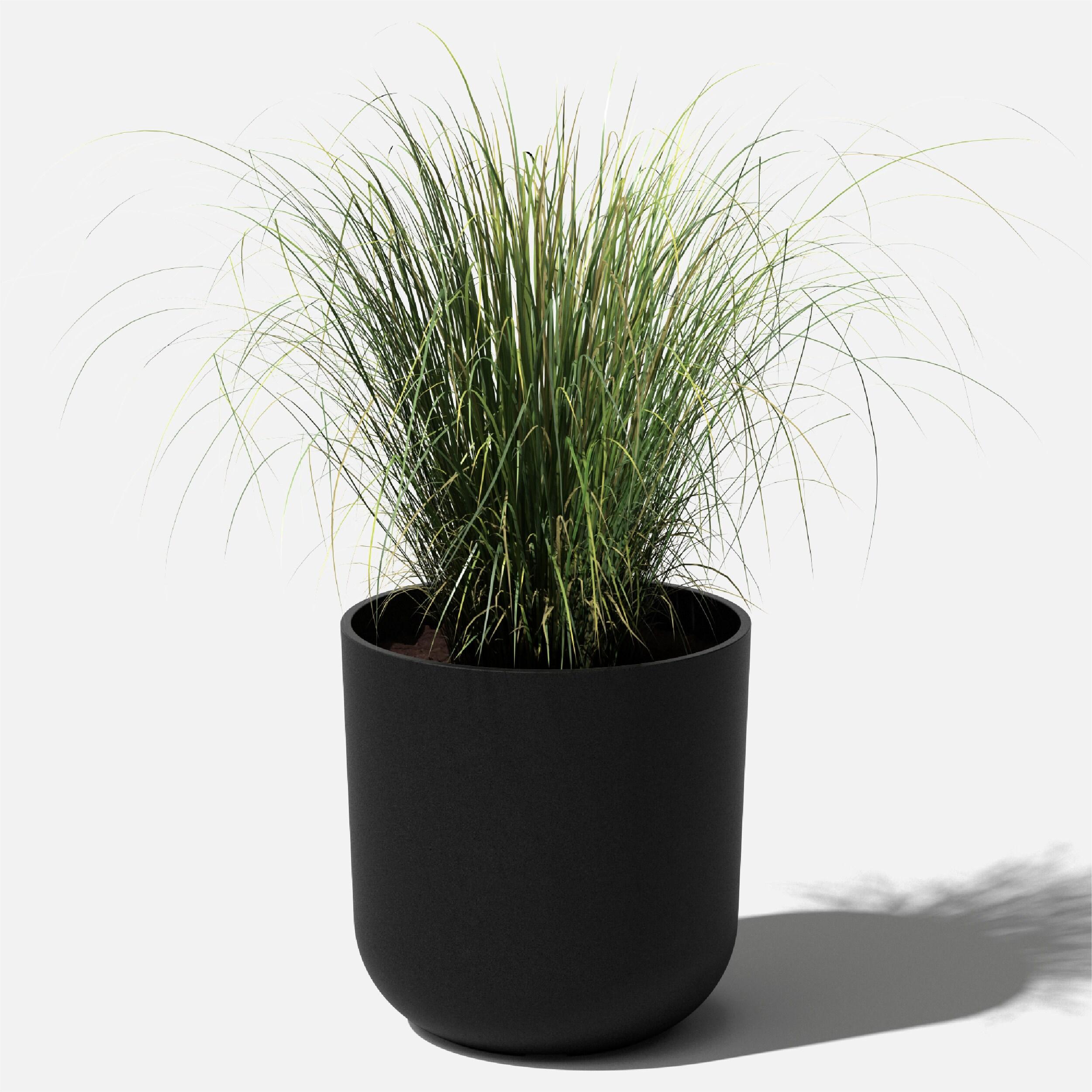Mason Series Kona Planter