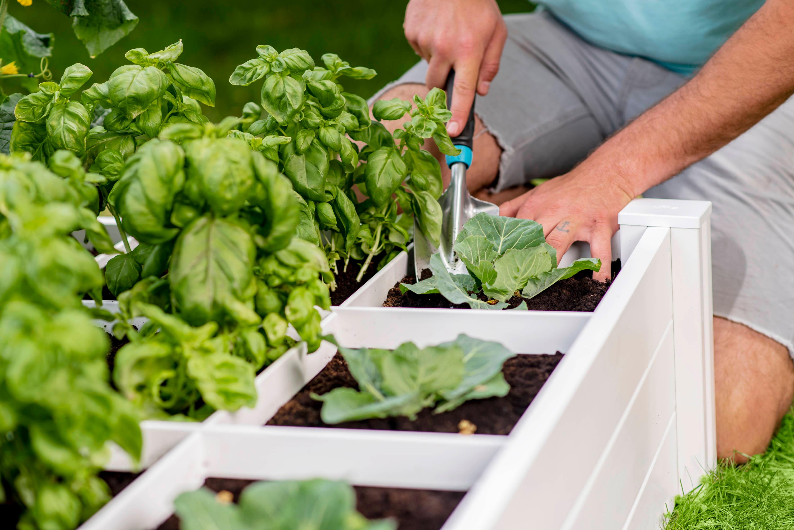 Classic White Vinyl 48" x 48" Raised Garden Bed with Grid