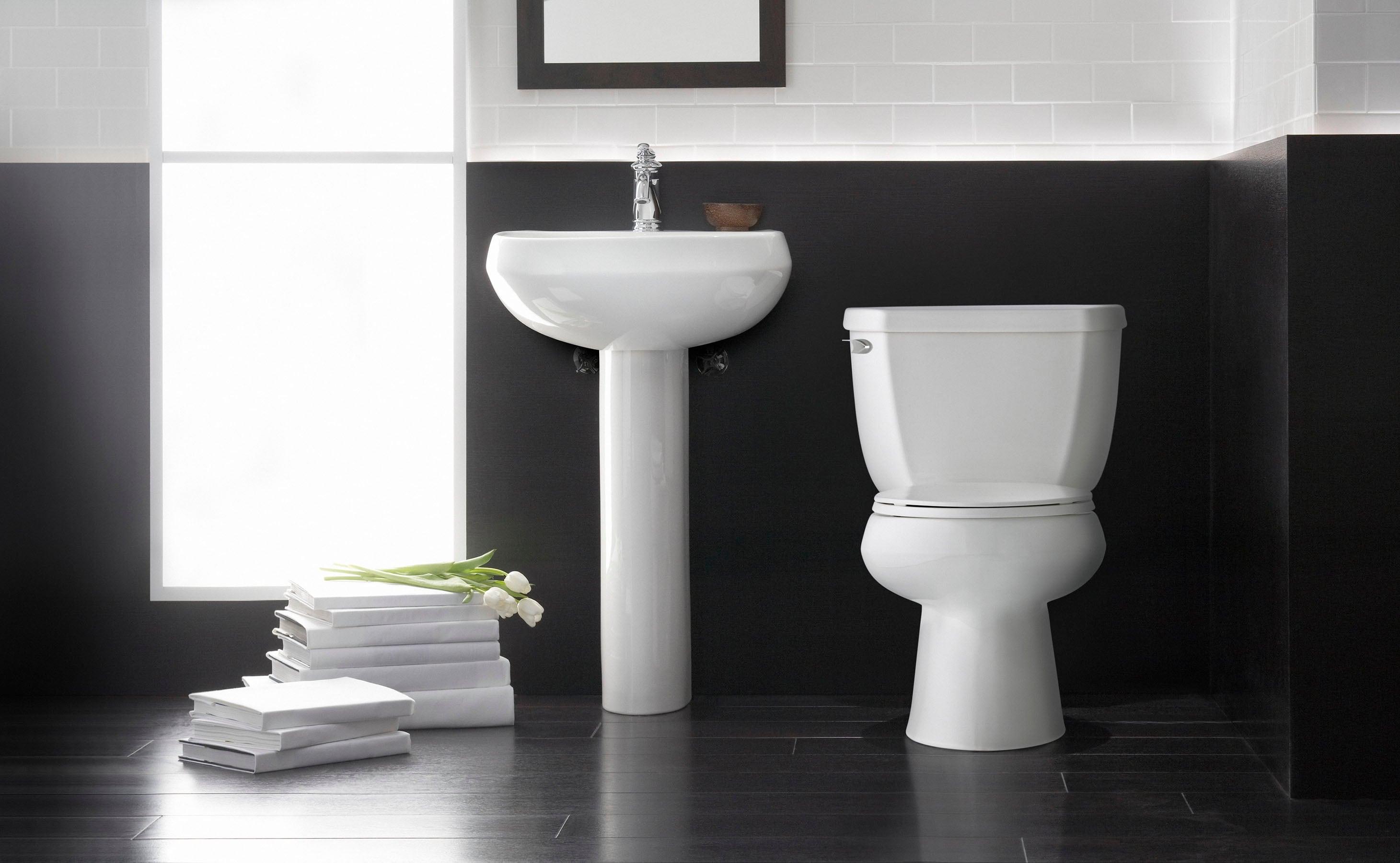 Wellworth Classic Two-Piece Elongated 1.0 GPF Toilet with Pressure Lite Flushing Technology, Less Seat