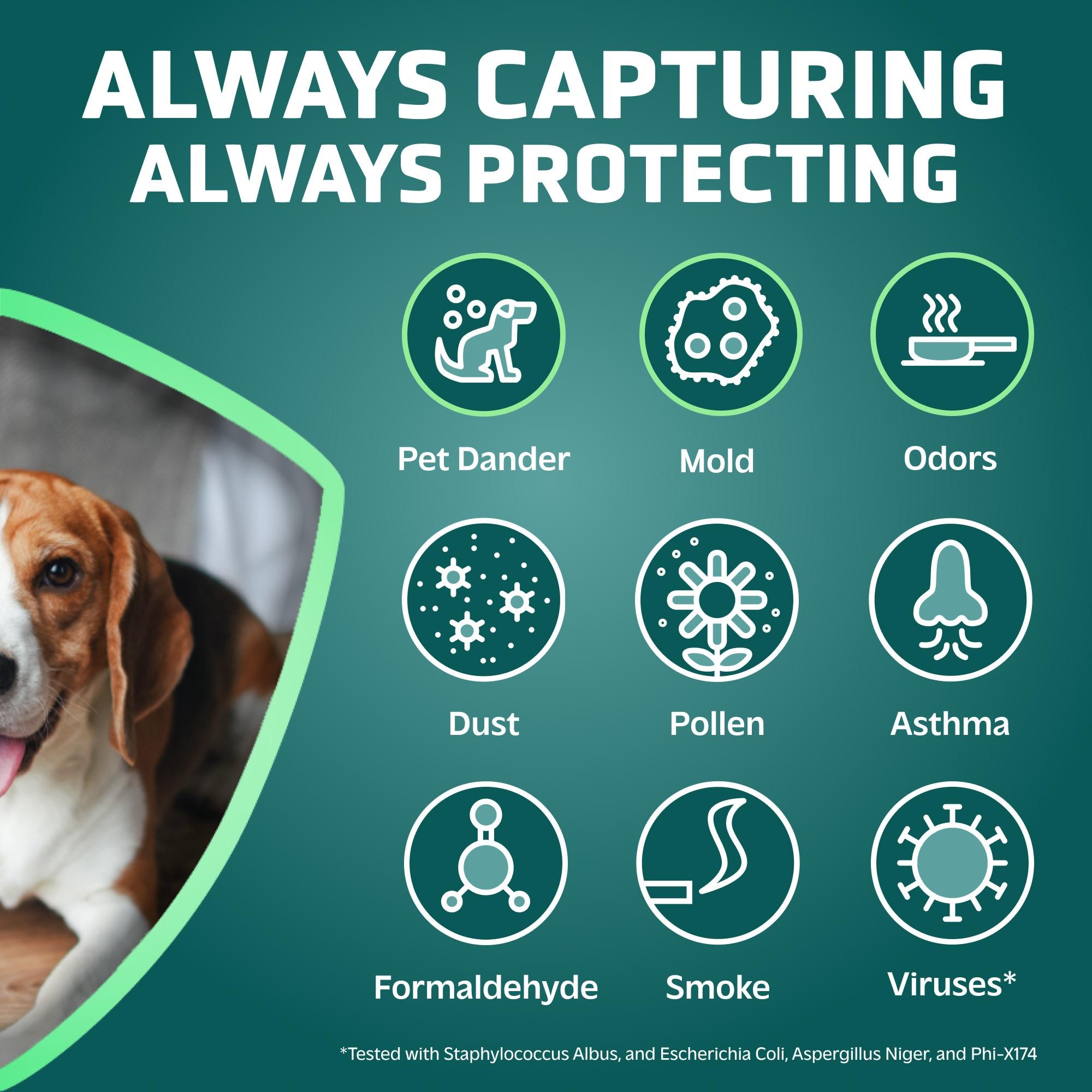 GermGuardian FLT4850PT True HEPA with Pet Pure Treatment GENUINE Replacement Air Control Filter B: Captures Dust, Pollen, Odors