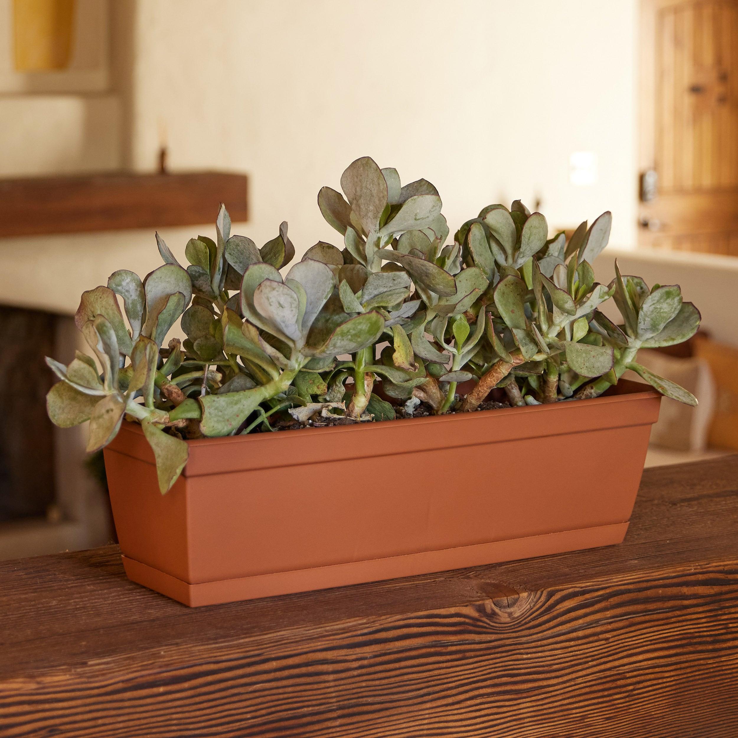 Bloem 24-in Wide Dura Cotta Resin Window Box Planter - Terra Cotta Color