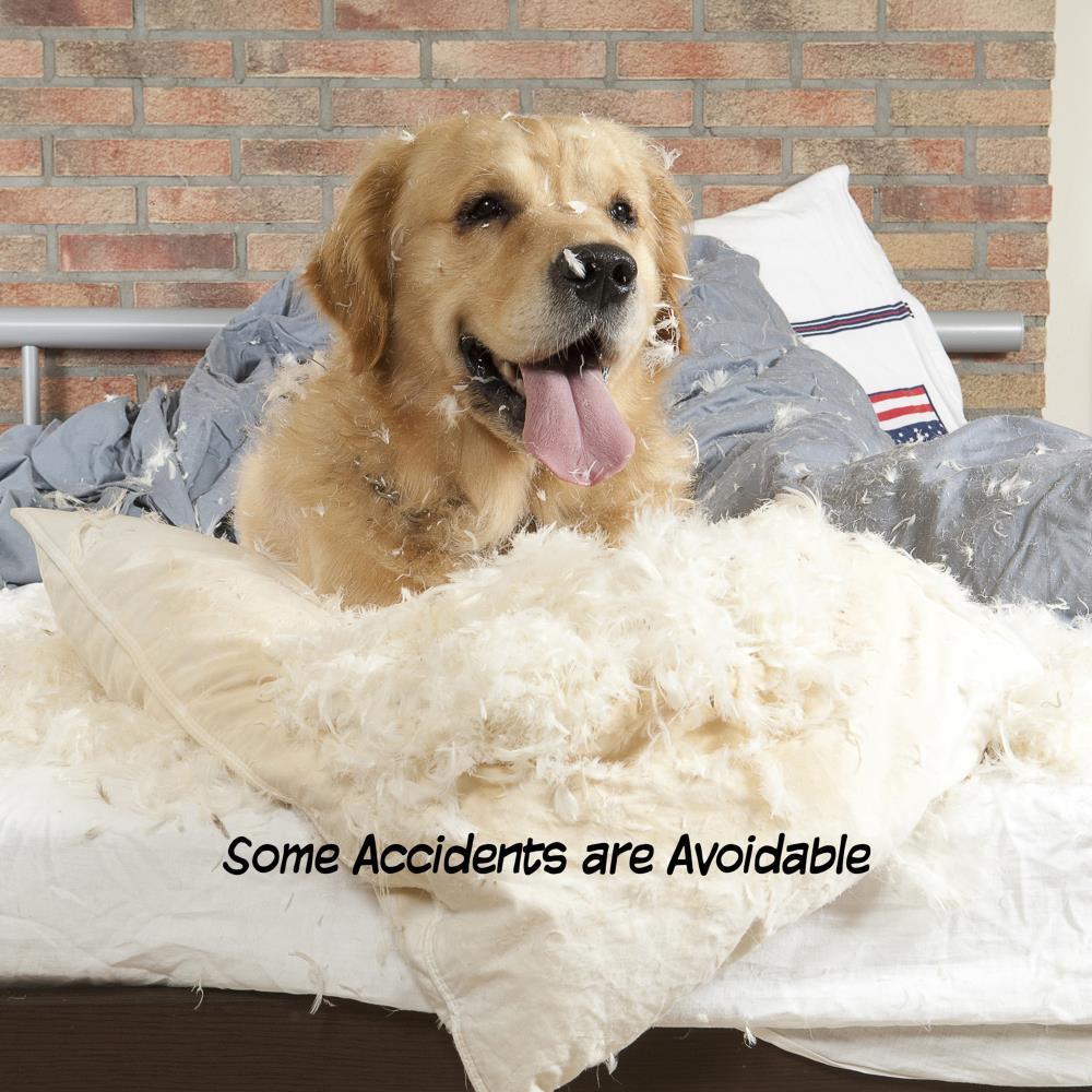 Pet Adobe Freestanding 3-Panel Pet Gate for Hallways, Doorways, and Stairs - 54.75", Dark Brown