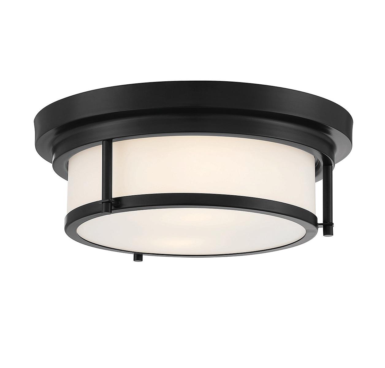Trade Winds Lighting 2-Light Ceiling Light In Matte Black