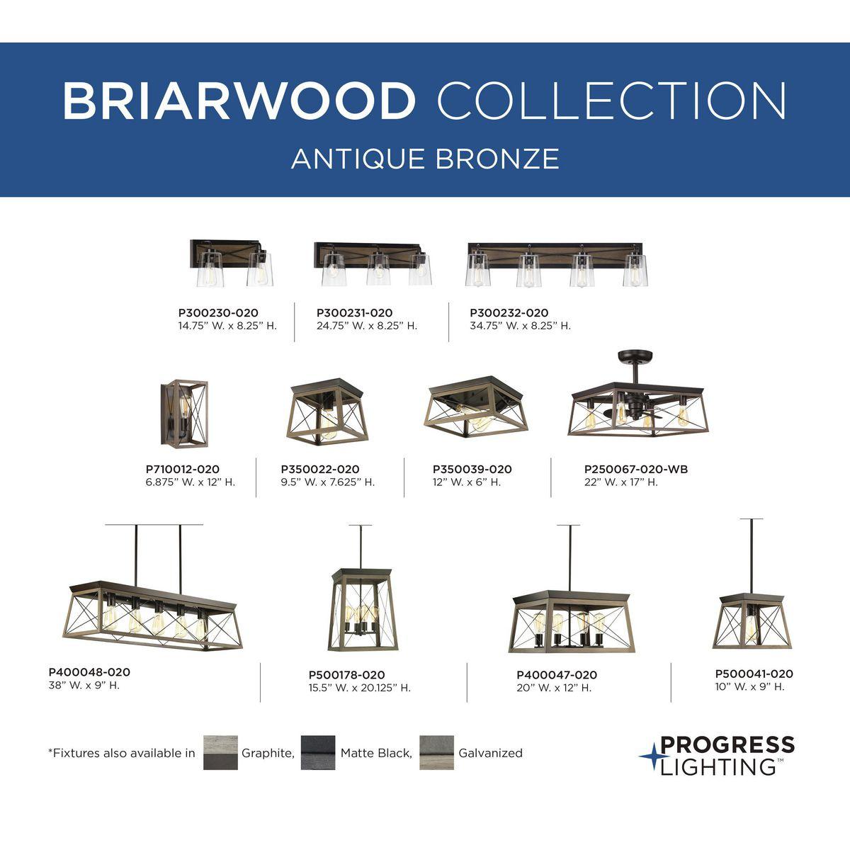 Progress Lighting Briarwood 4-Light Foyer Pendant, Textured Black, No Shade