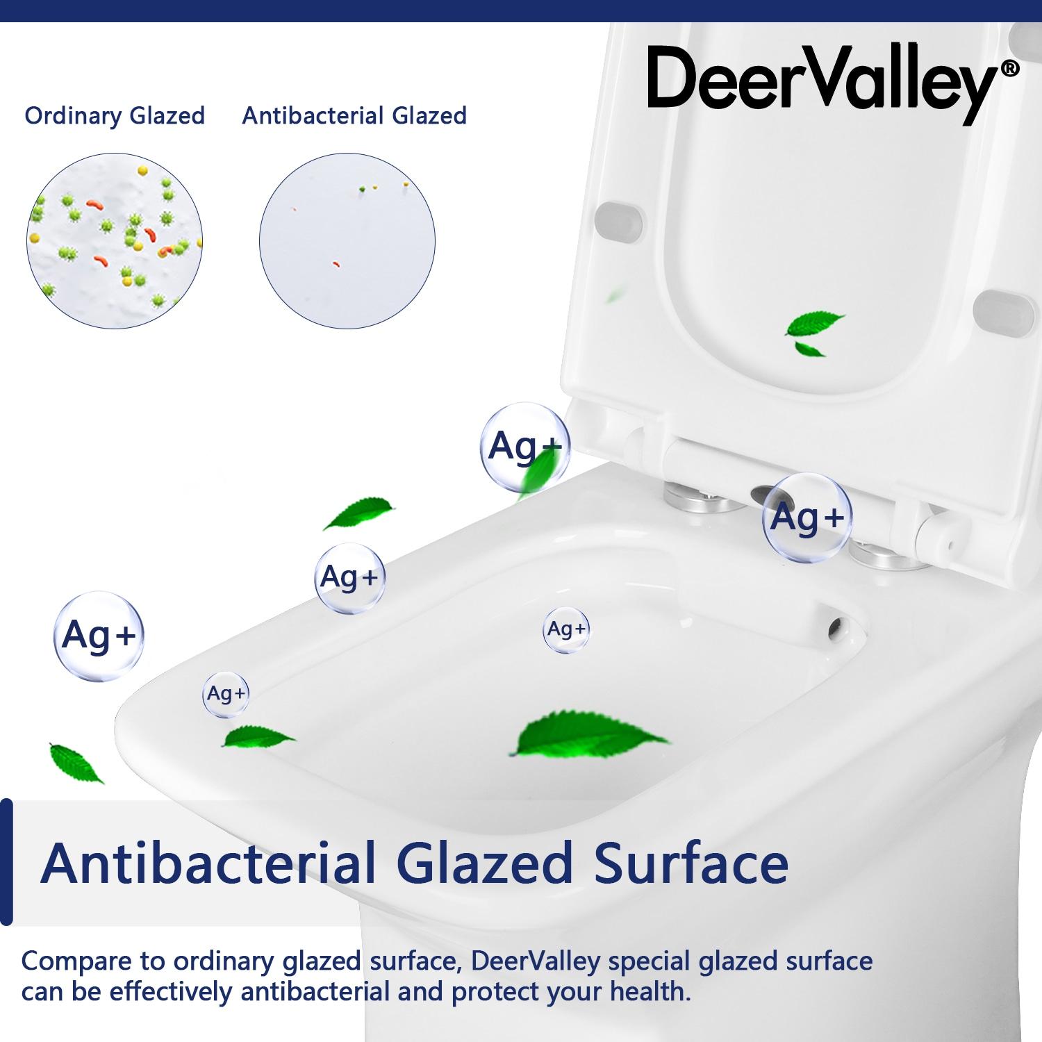 Ace Dual-Flush Square Seat One-Piece Floor Mounted Toilet with White Glazed Surface(Seat Included)